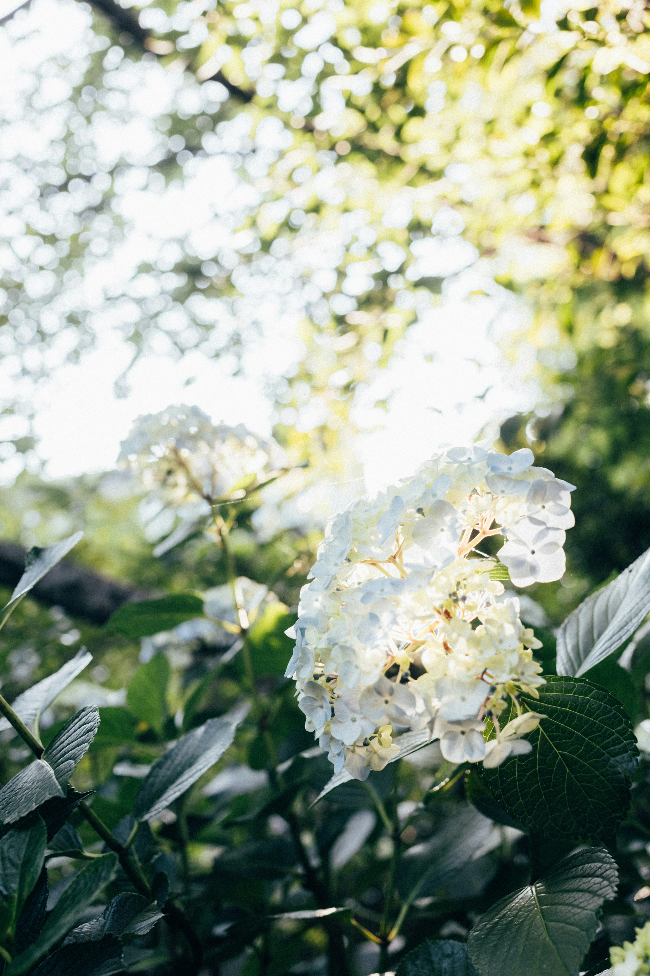 Photo by tsuyoshikozu