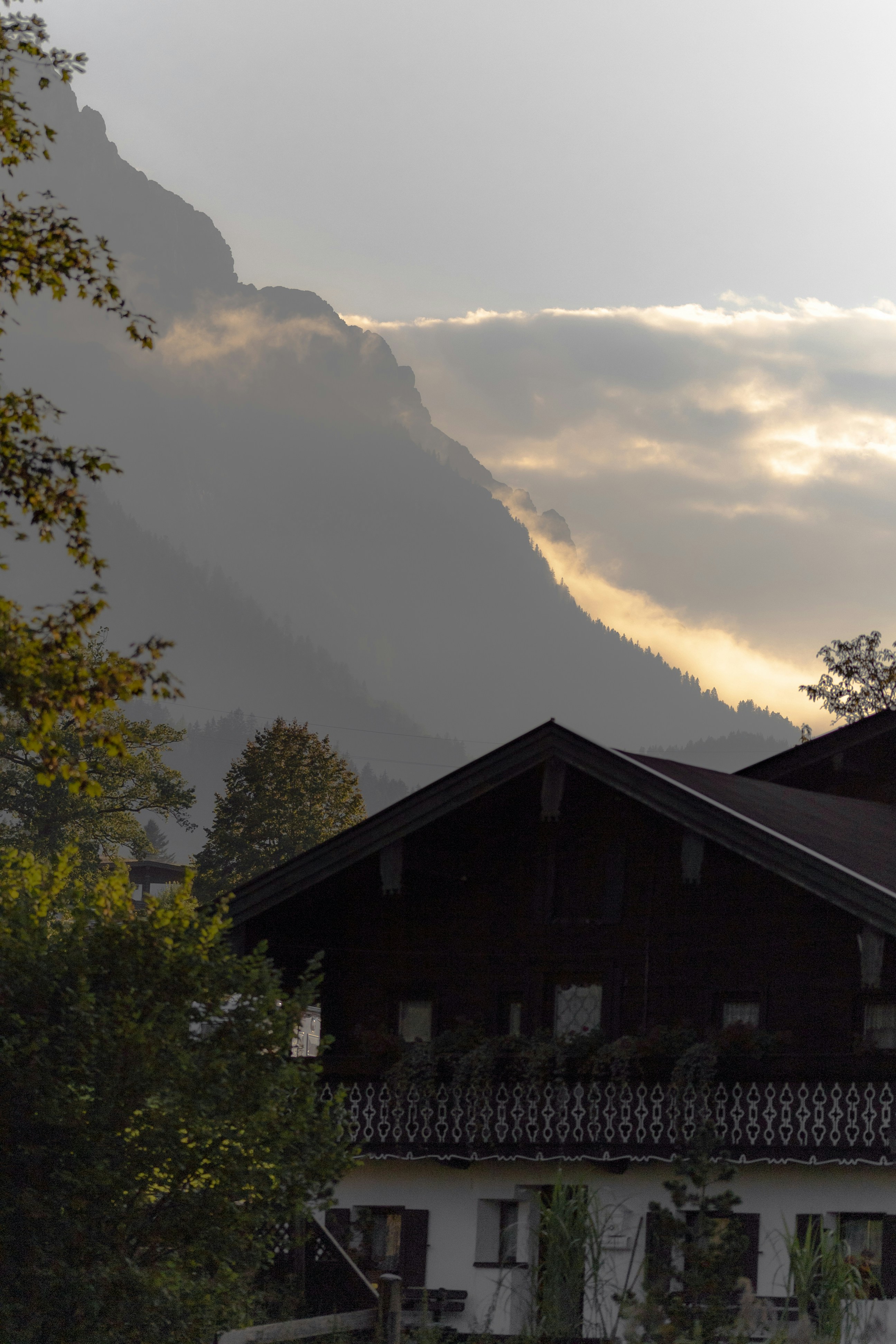 Photo by raw_negative_space