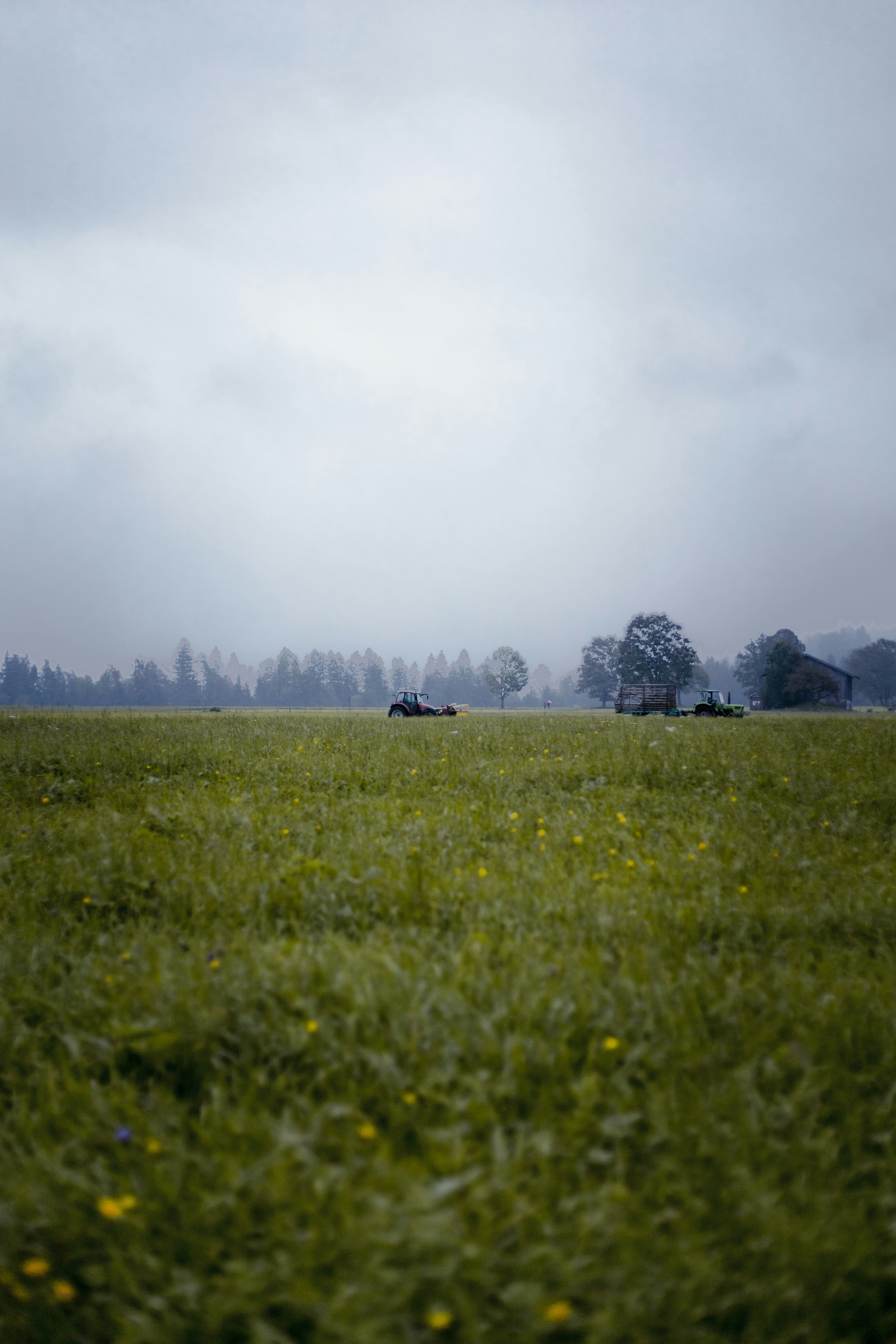 Photo by raw_negative_space