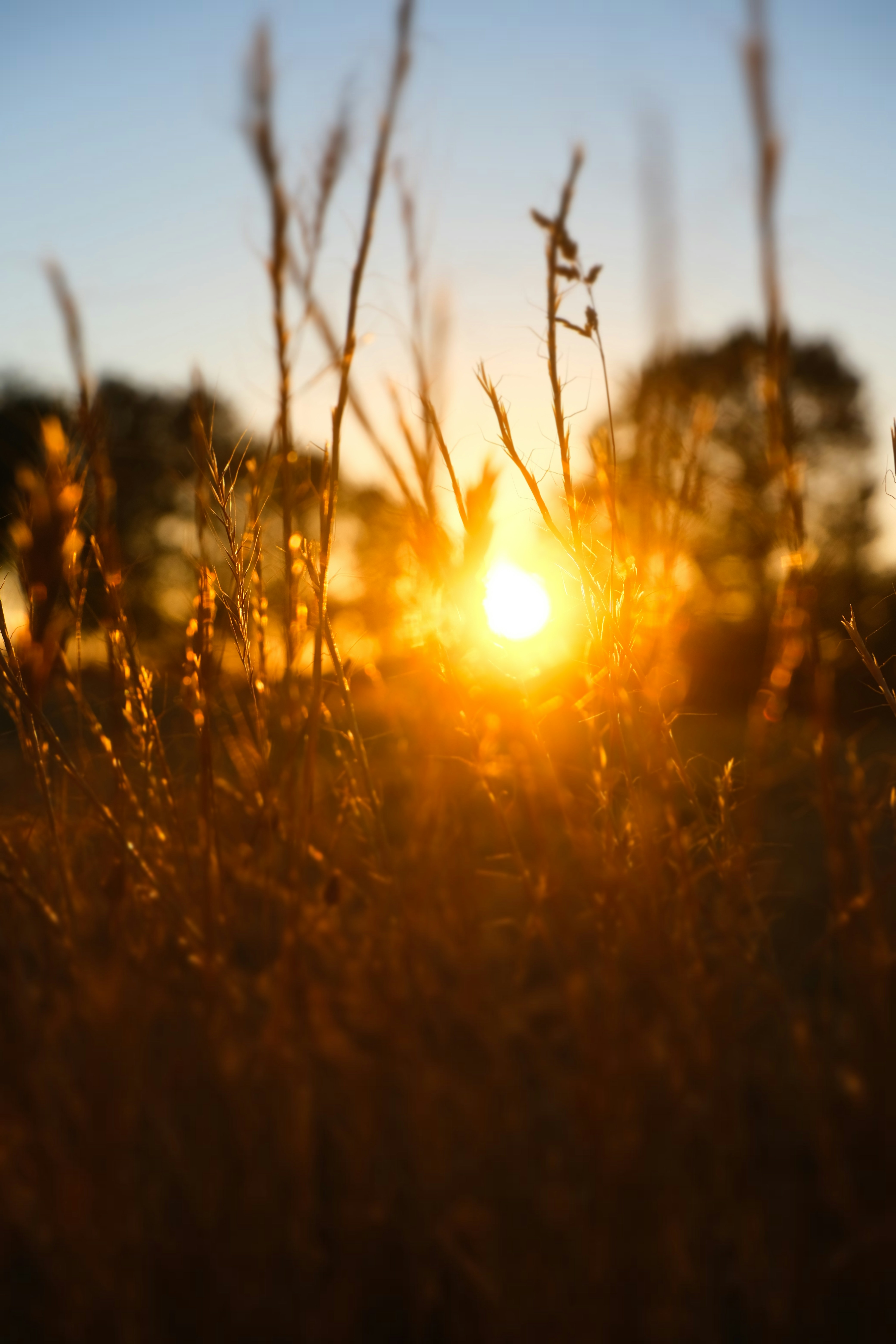 Photo by inthemoodforphotograph