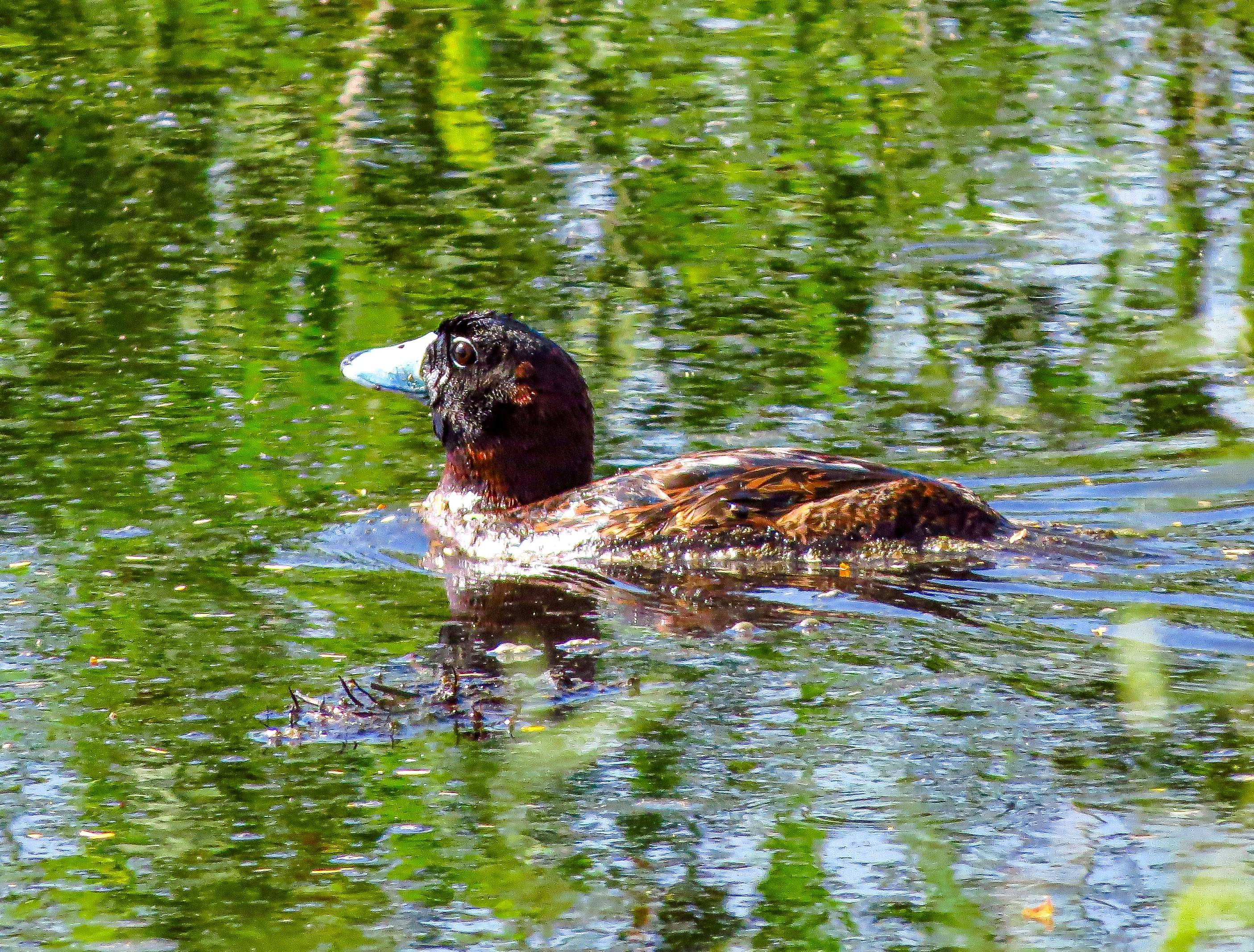 Photo by dienyportinanni