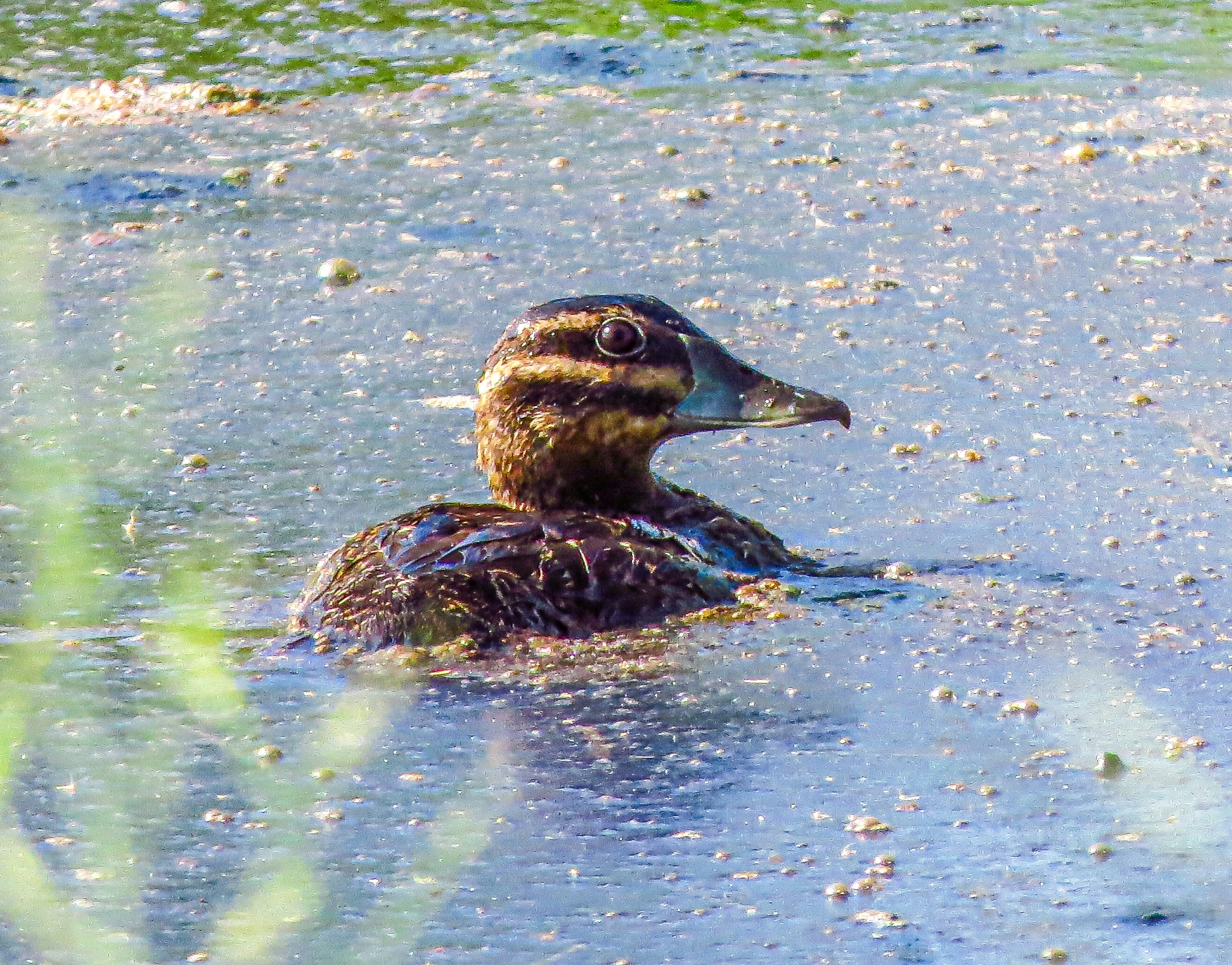 Photo by dienyportinanni