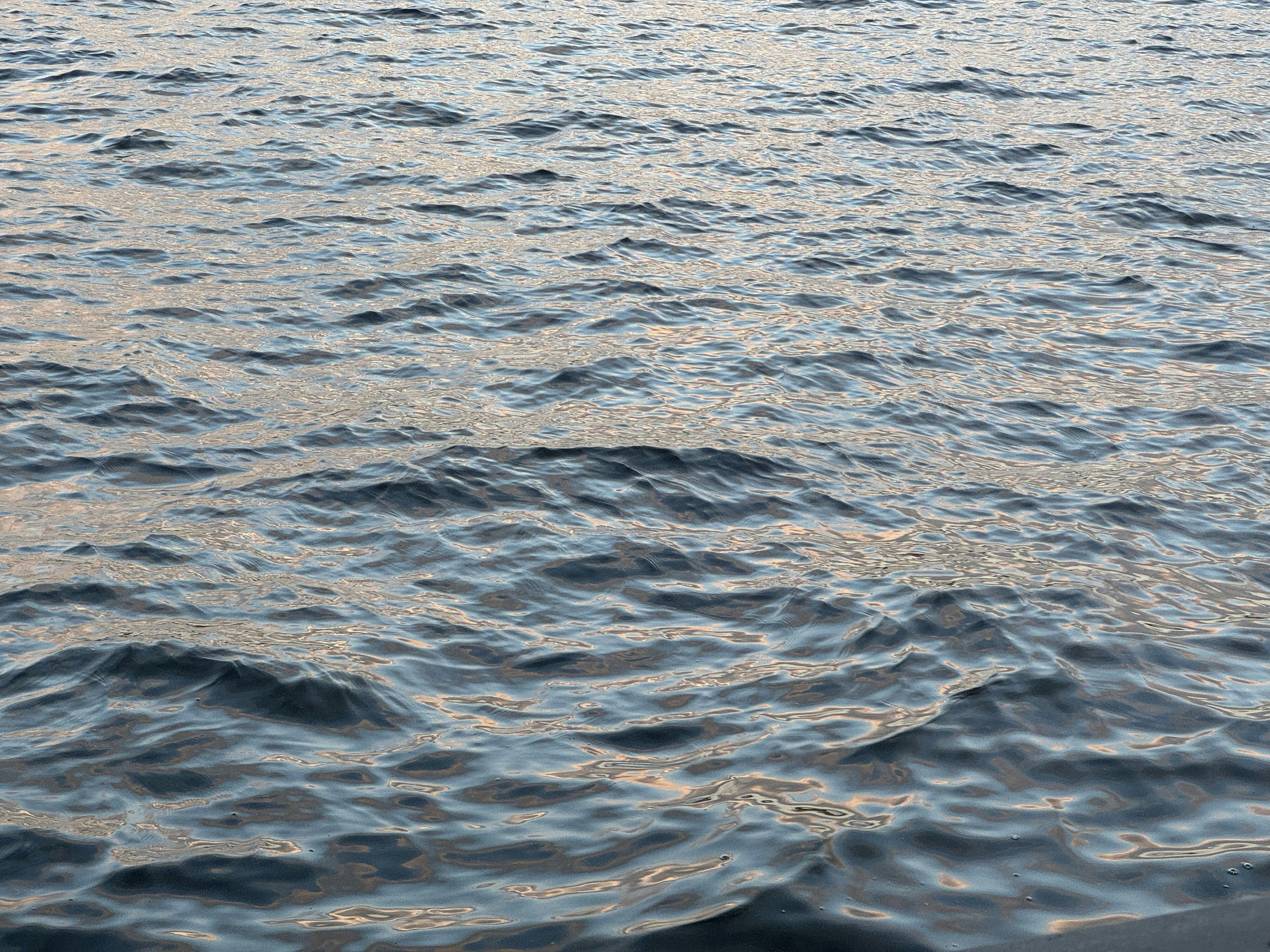 Photo by yurishvetsov