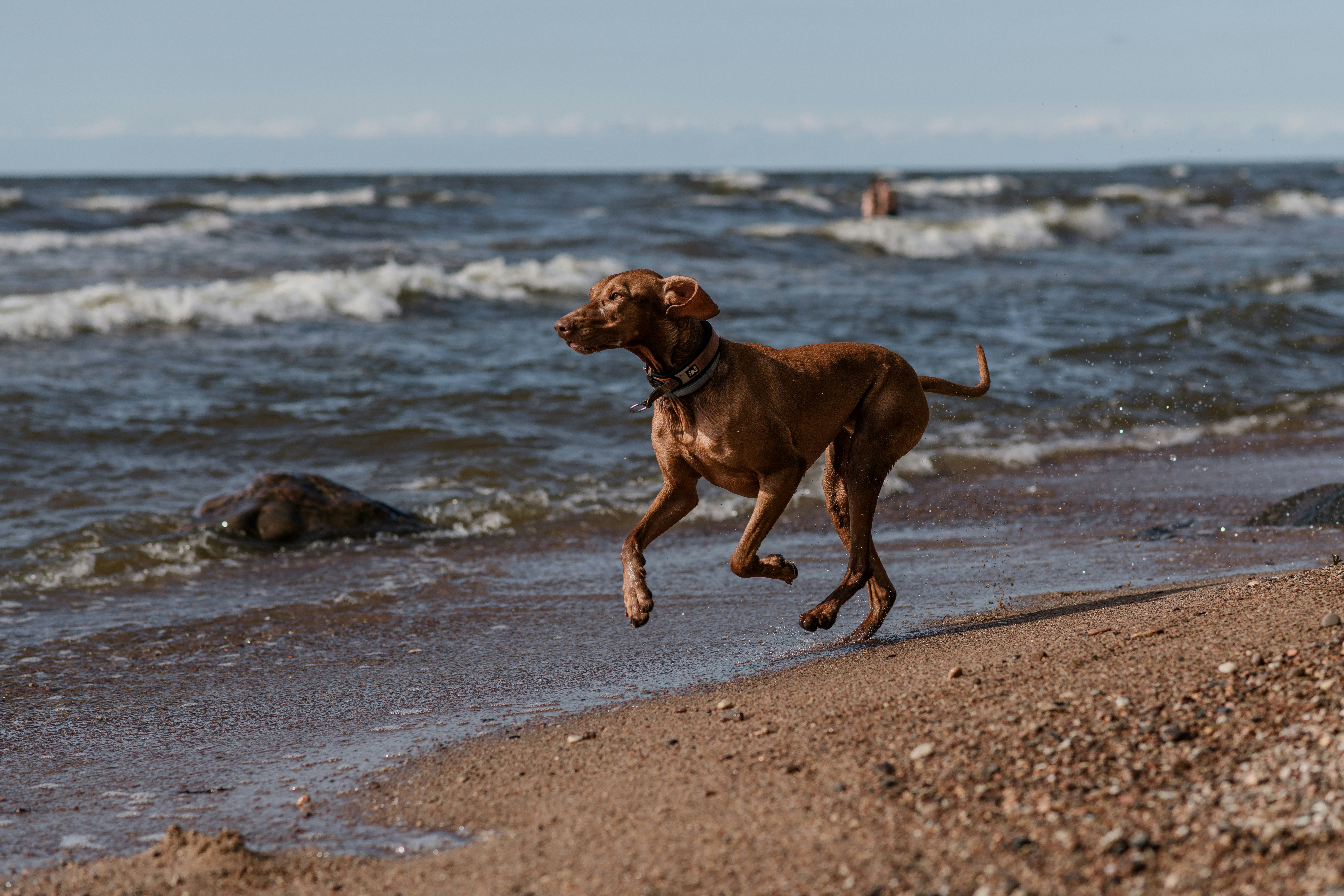 Photo by anitaaustvika