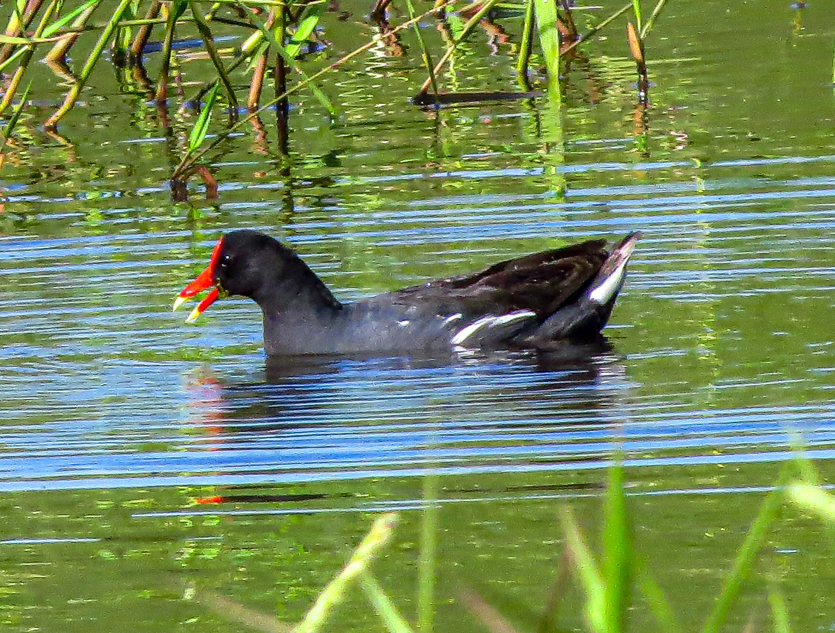 Photo by dienyportinanni