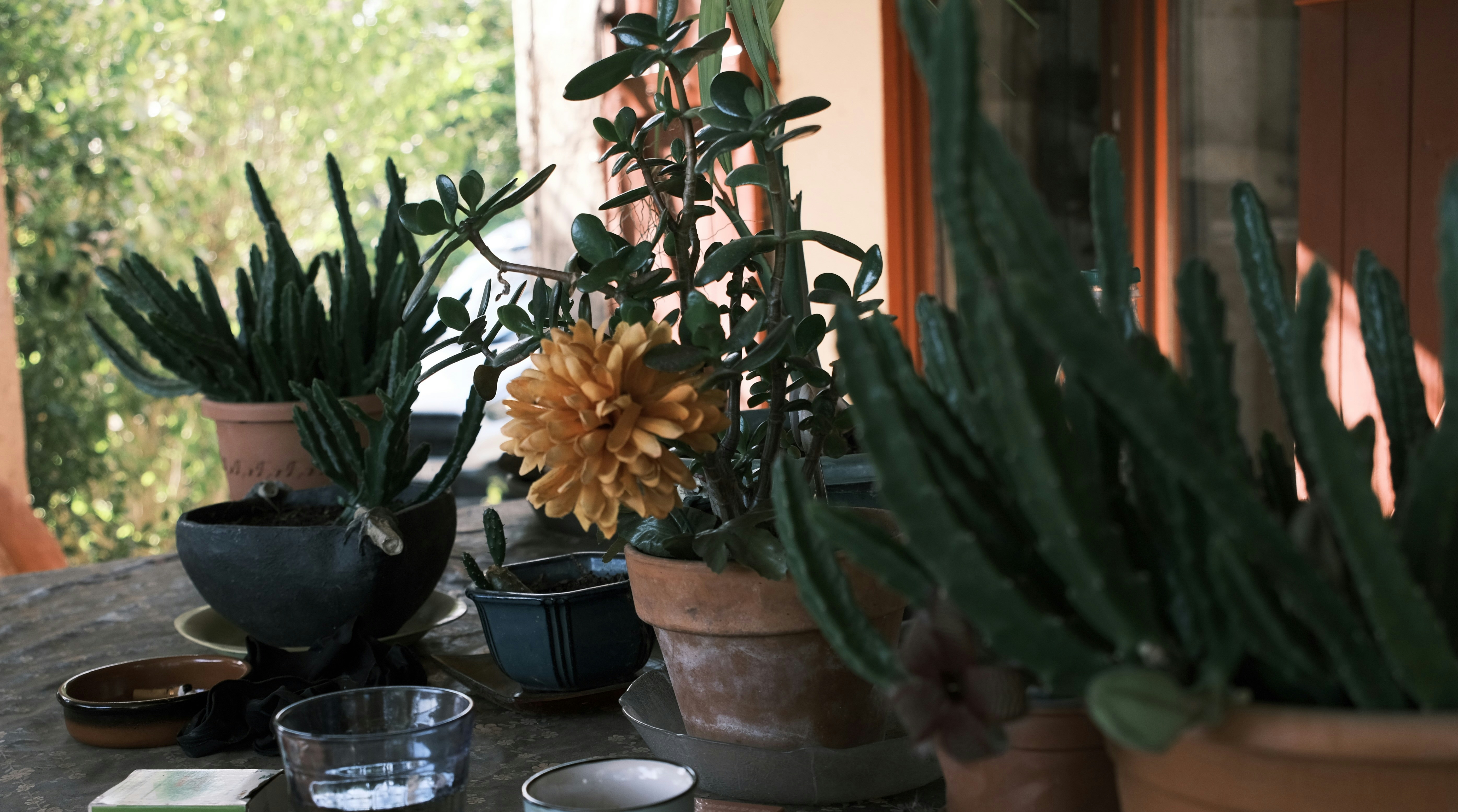 diy desert southwest decor ideas southern hospitality home makeover suburban family home diy projects modern office design ideas, beautiful 2026 home decor photography, interior design inspiration