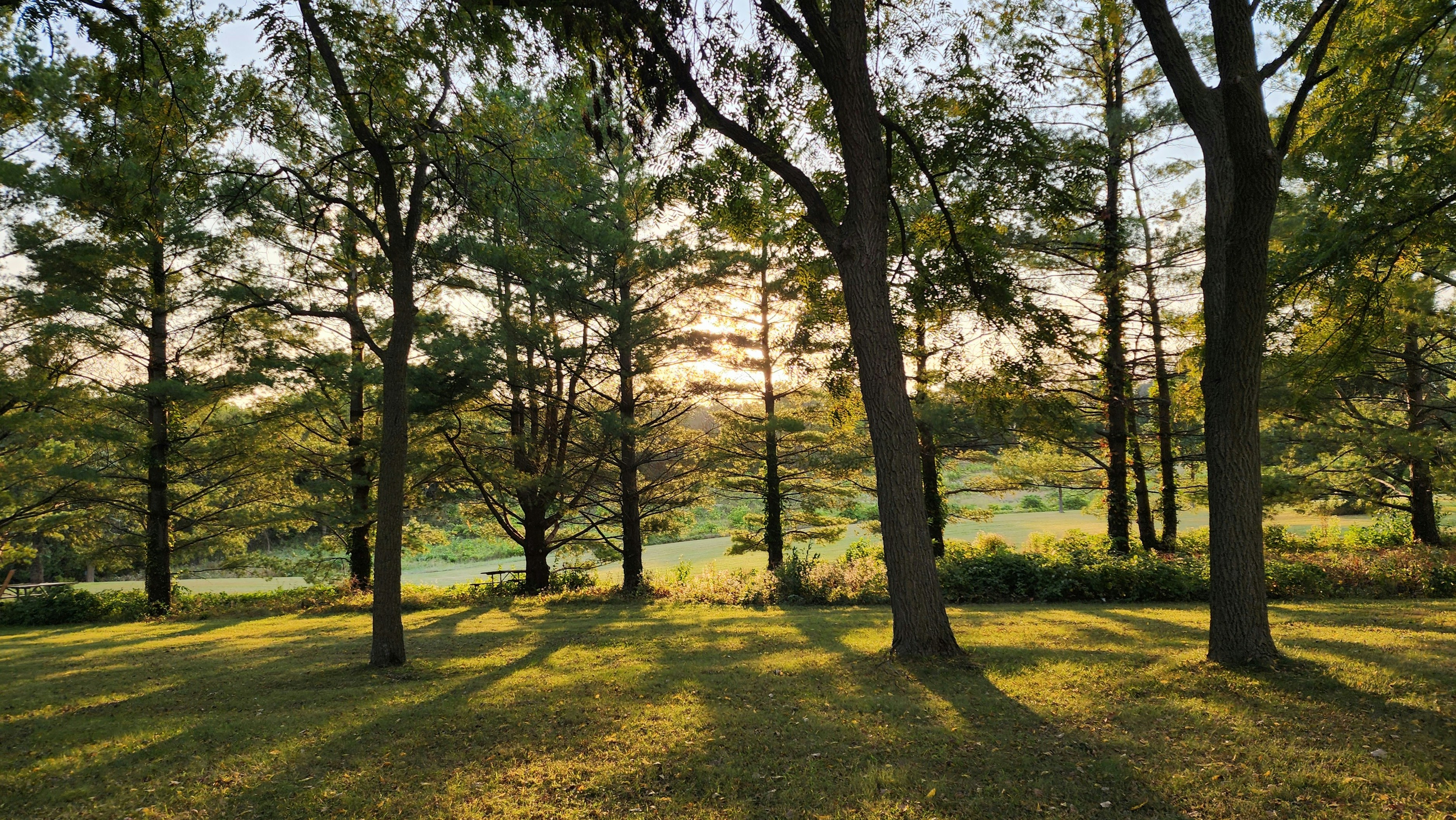 Photo by kennedydavis