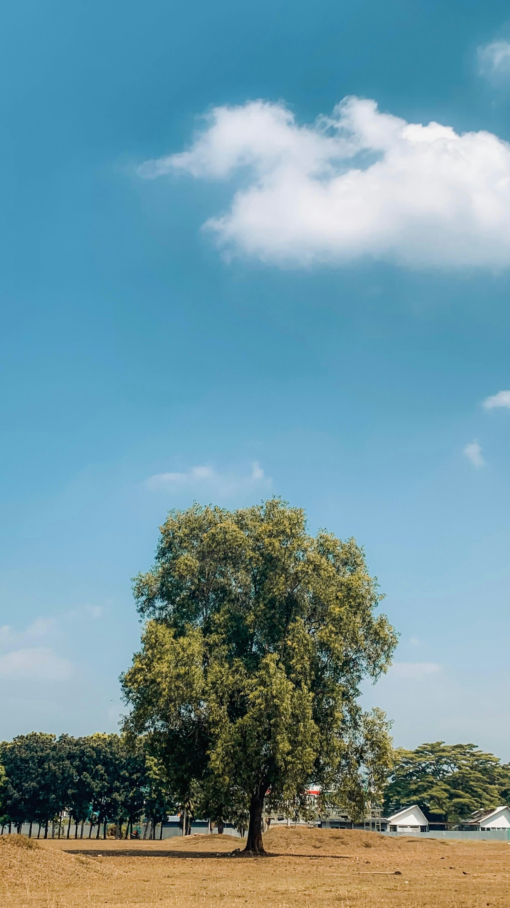 Photo by adityabunardi