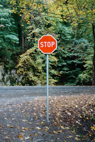 A red stop sign sitting on the side of a road