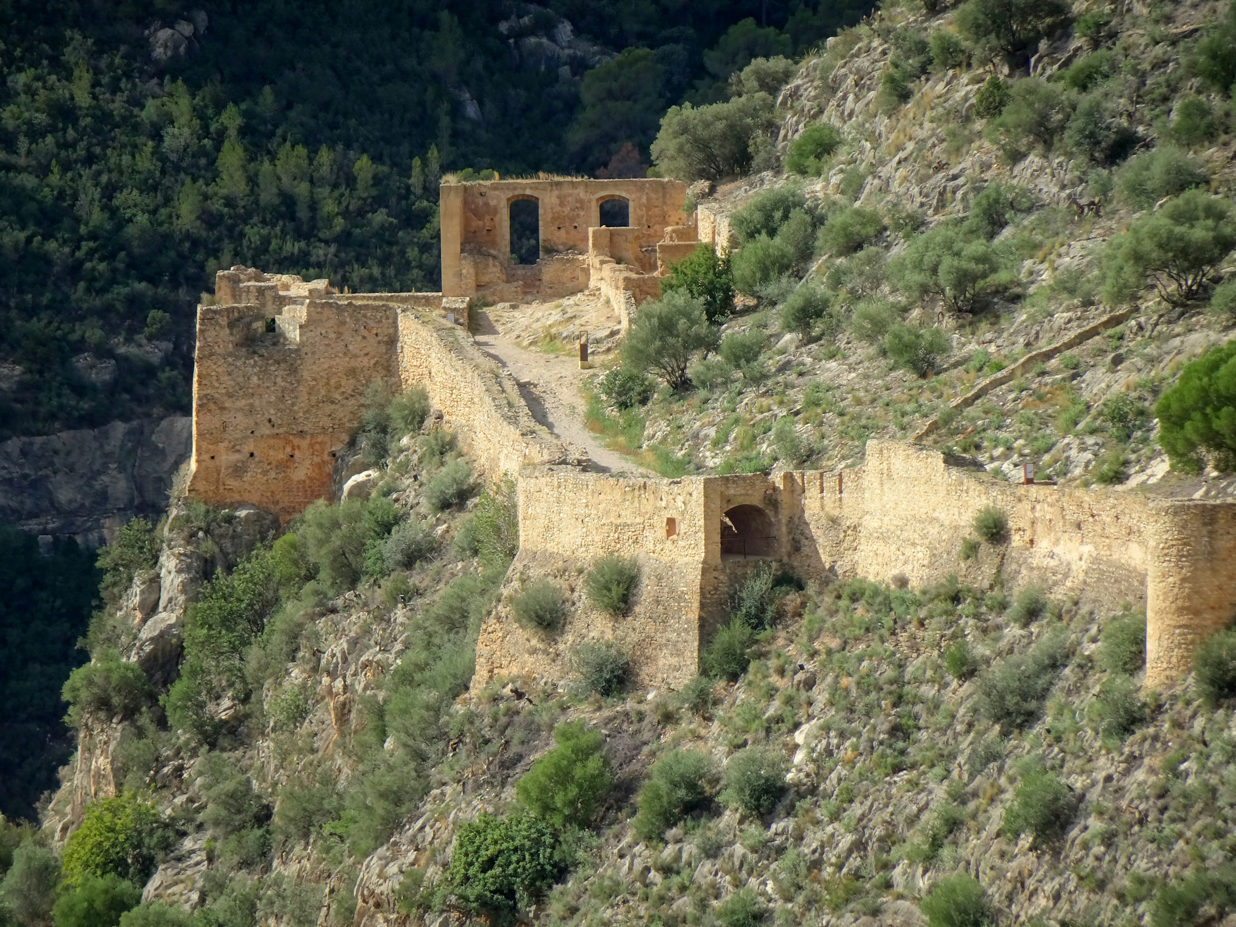 Photo by ludovico_06