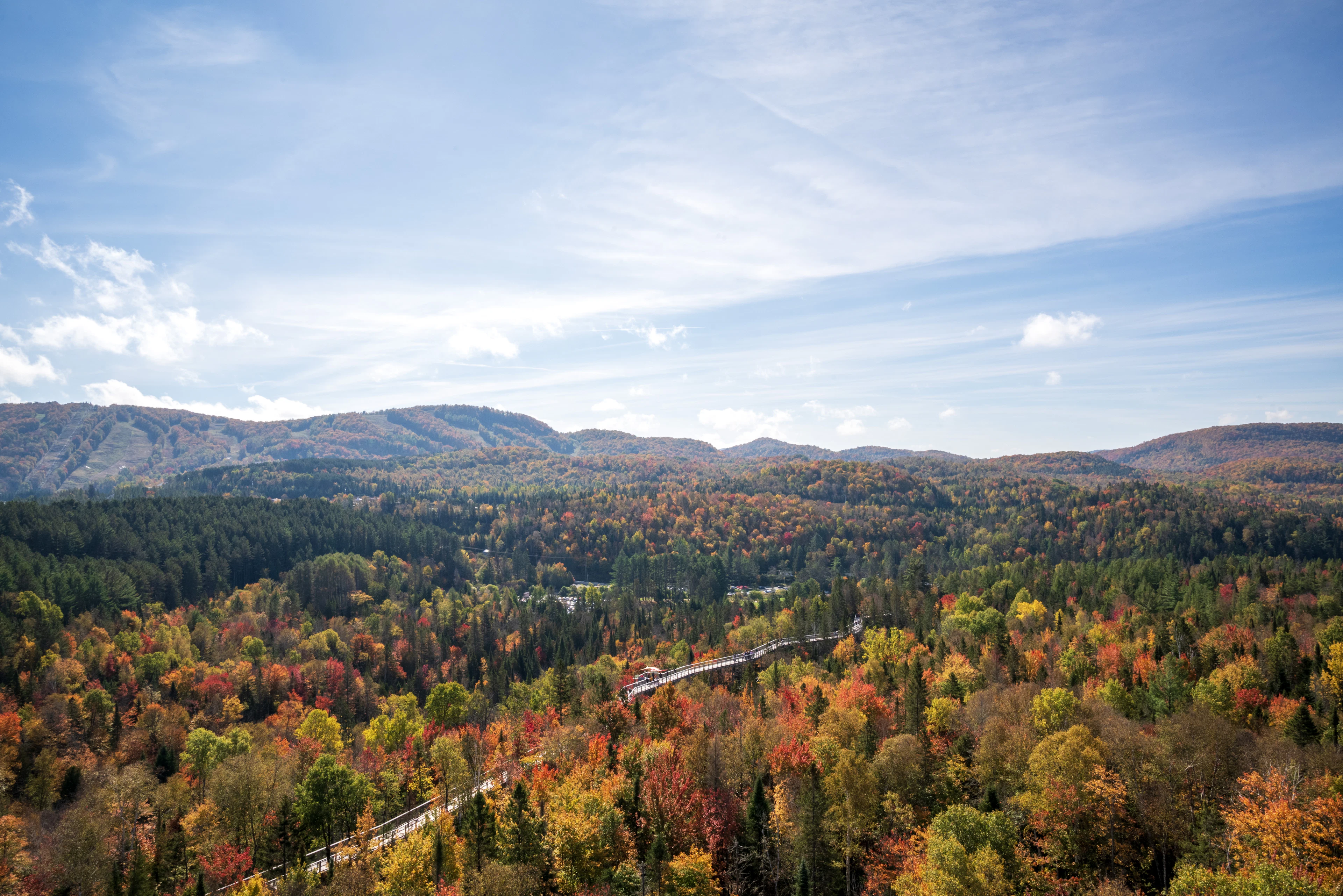Vue aérienne d’une forêt aux couleurs d’automne au pied des montagnes, au Québec