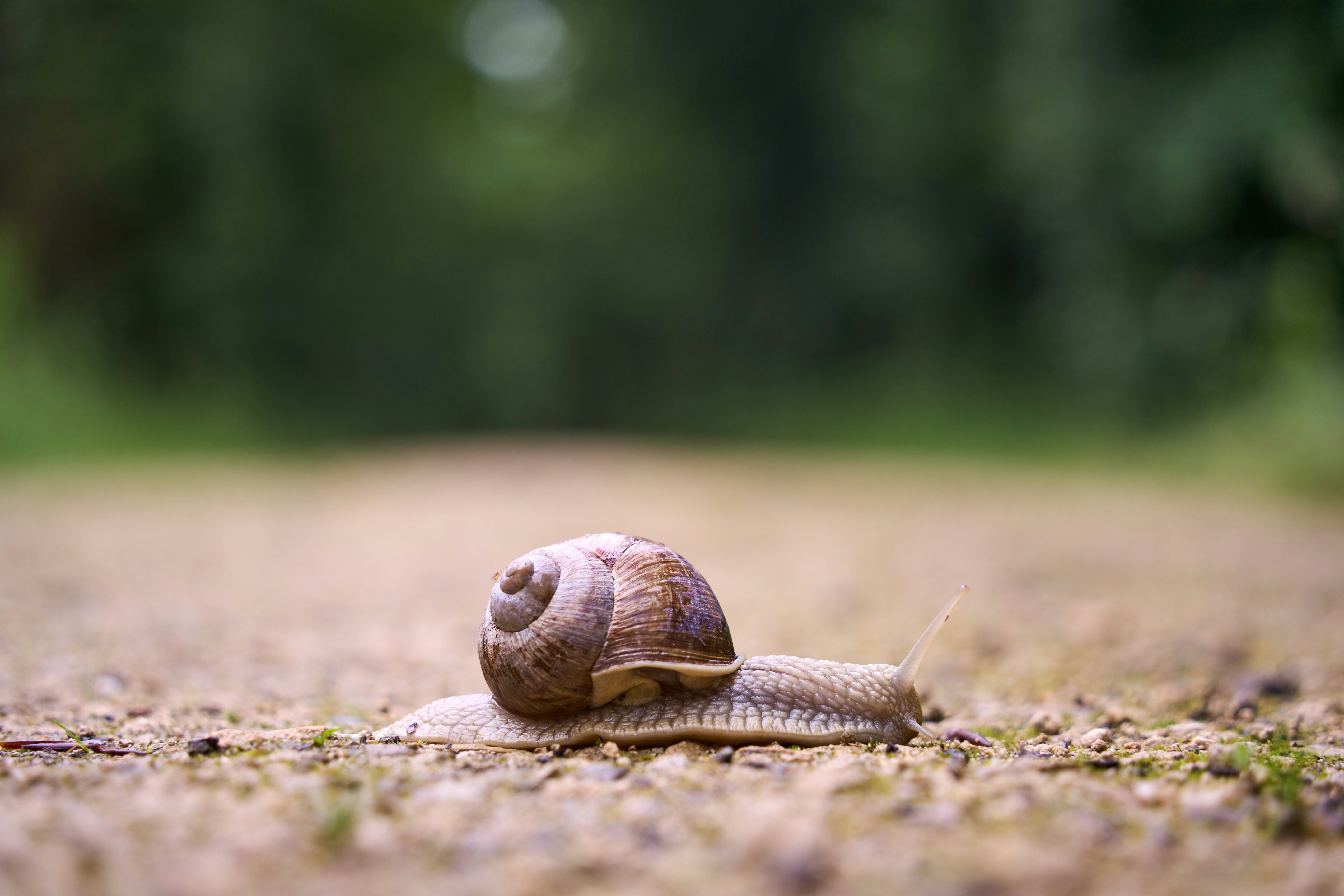 구글, 워크스페이스 관리자에게 "한 발 느린 적용" 권한 부여