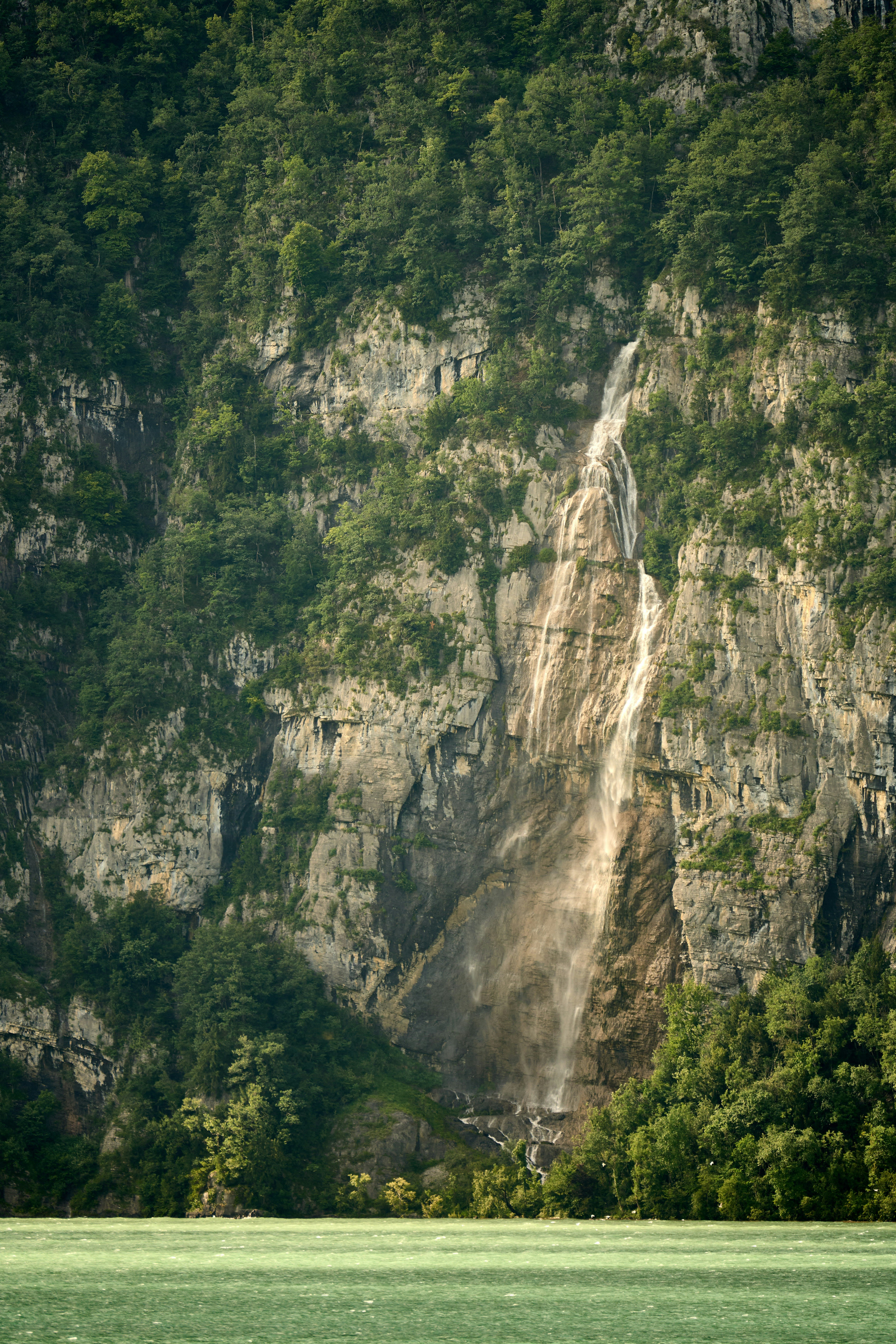 Photo by wolfgang_hasselmann