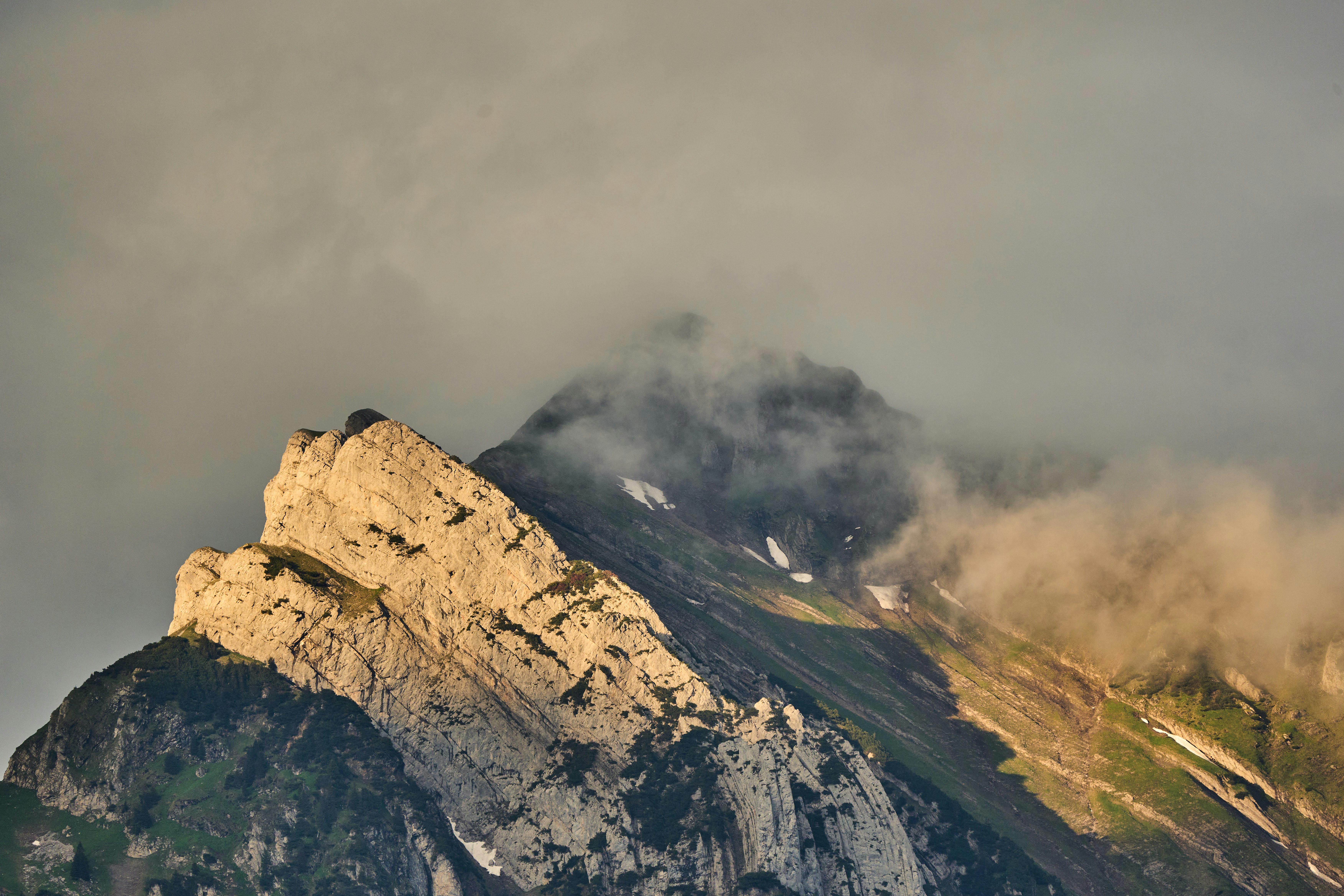 Photo by wolfgang_hasselmann