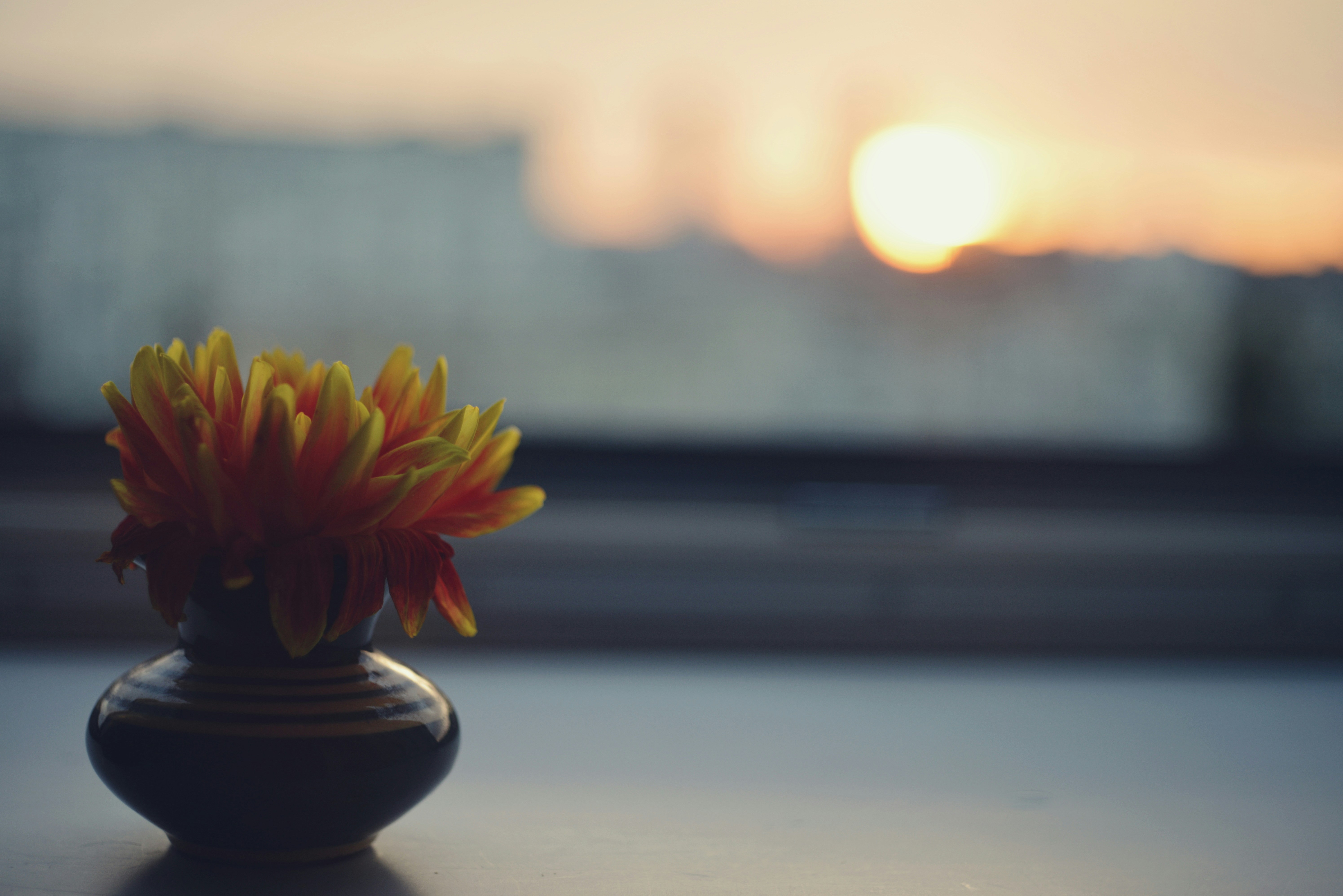 Photo by cherstve_pechivo