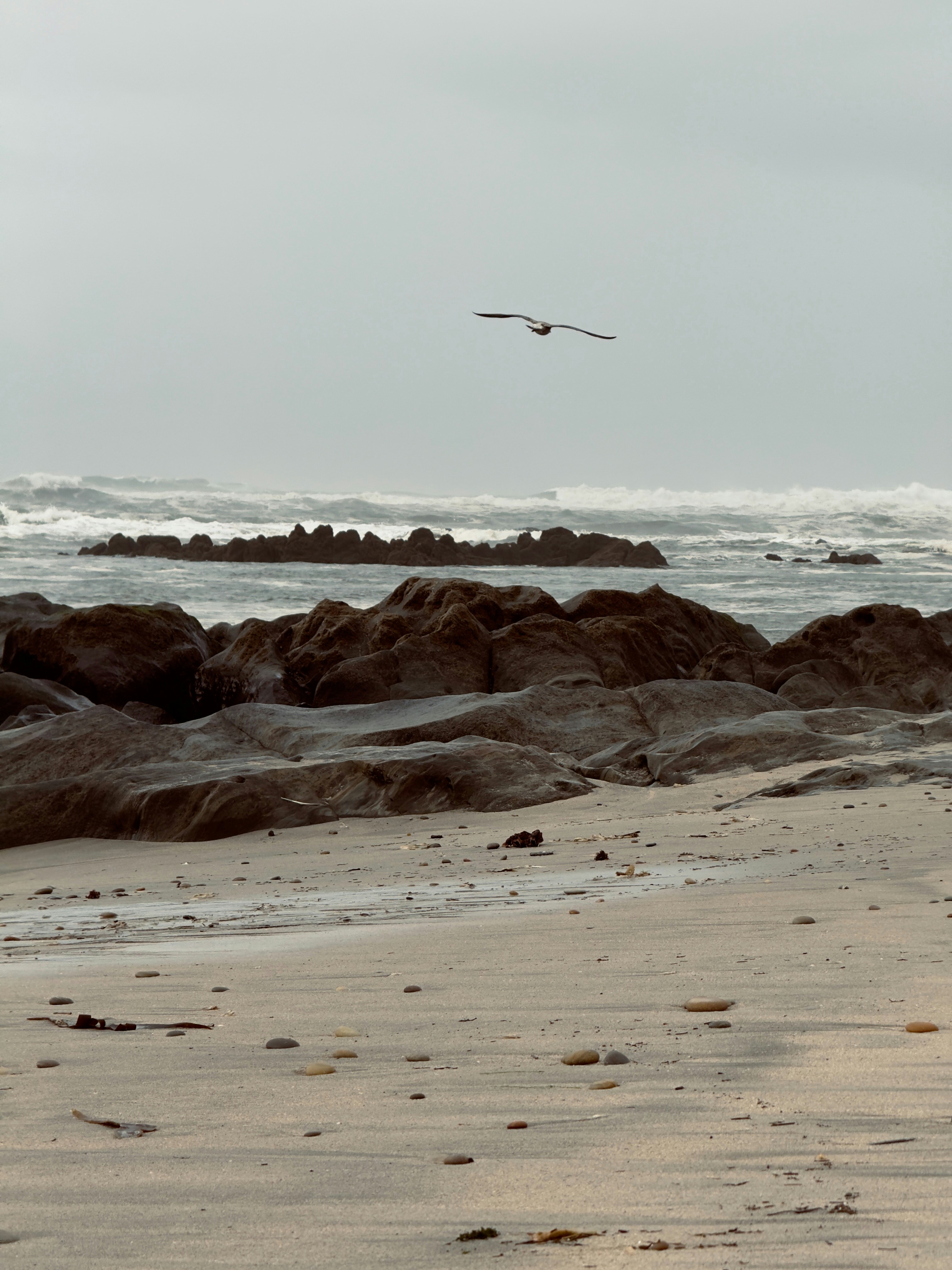 Photo by benjaribeiro