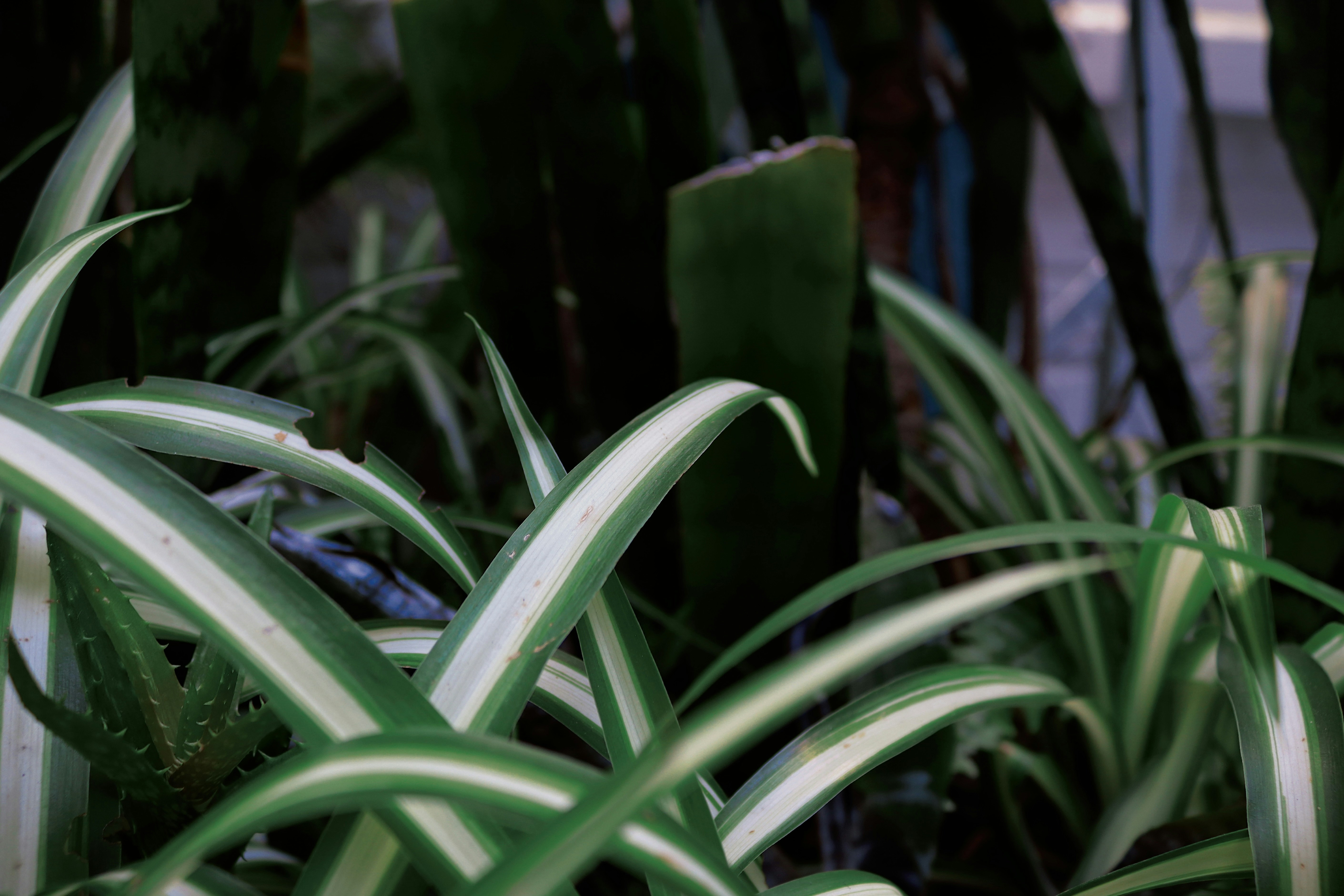 Photo by kcphotographer