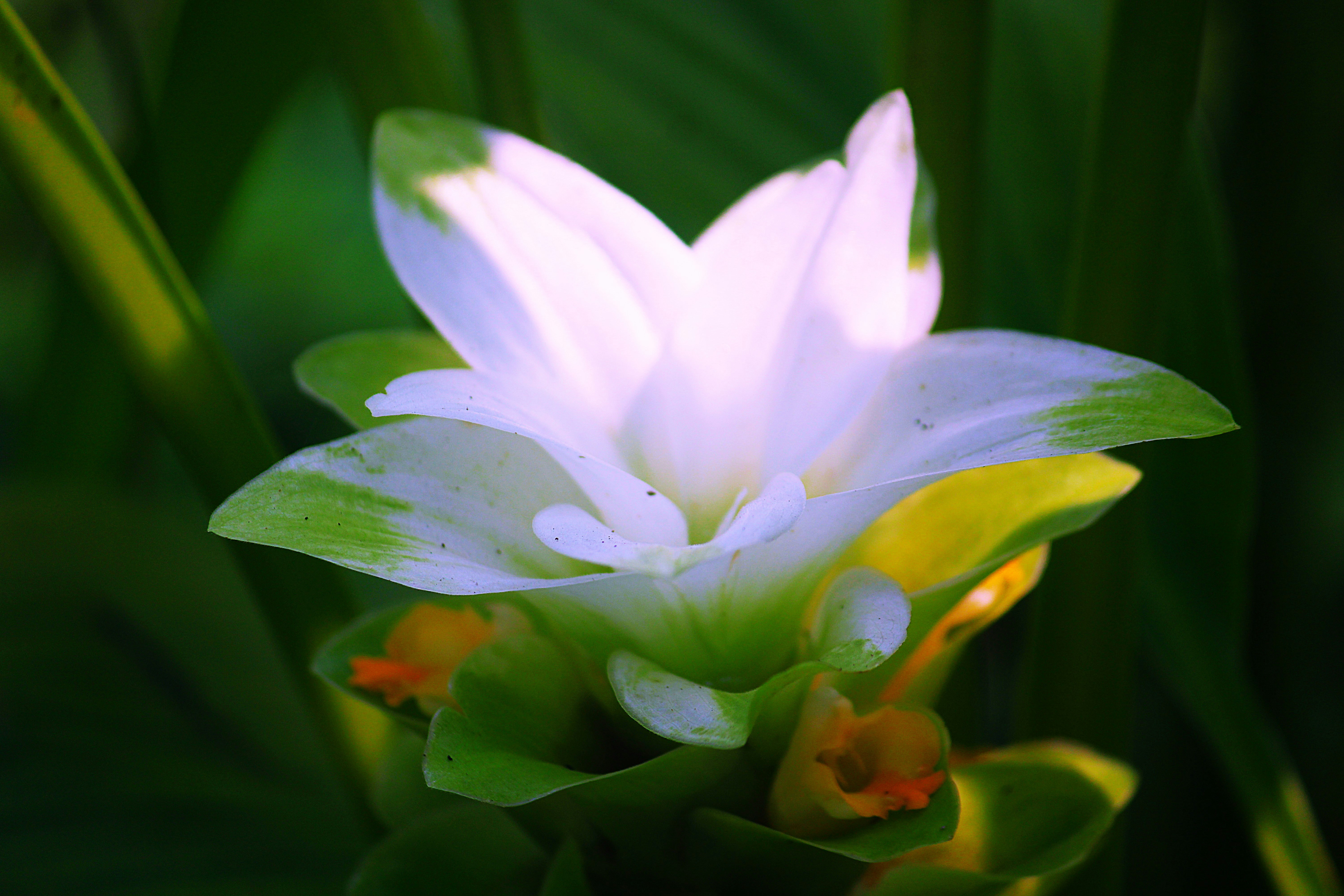 Photo by manoj_poosam