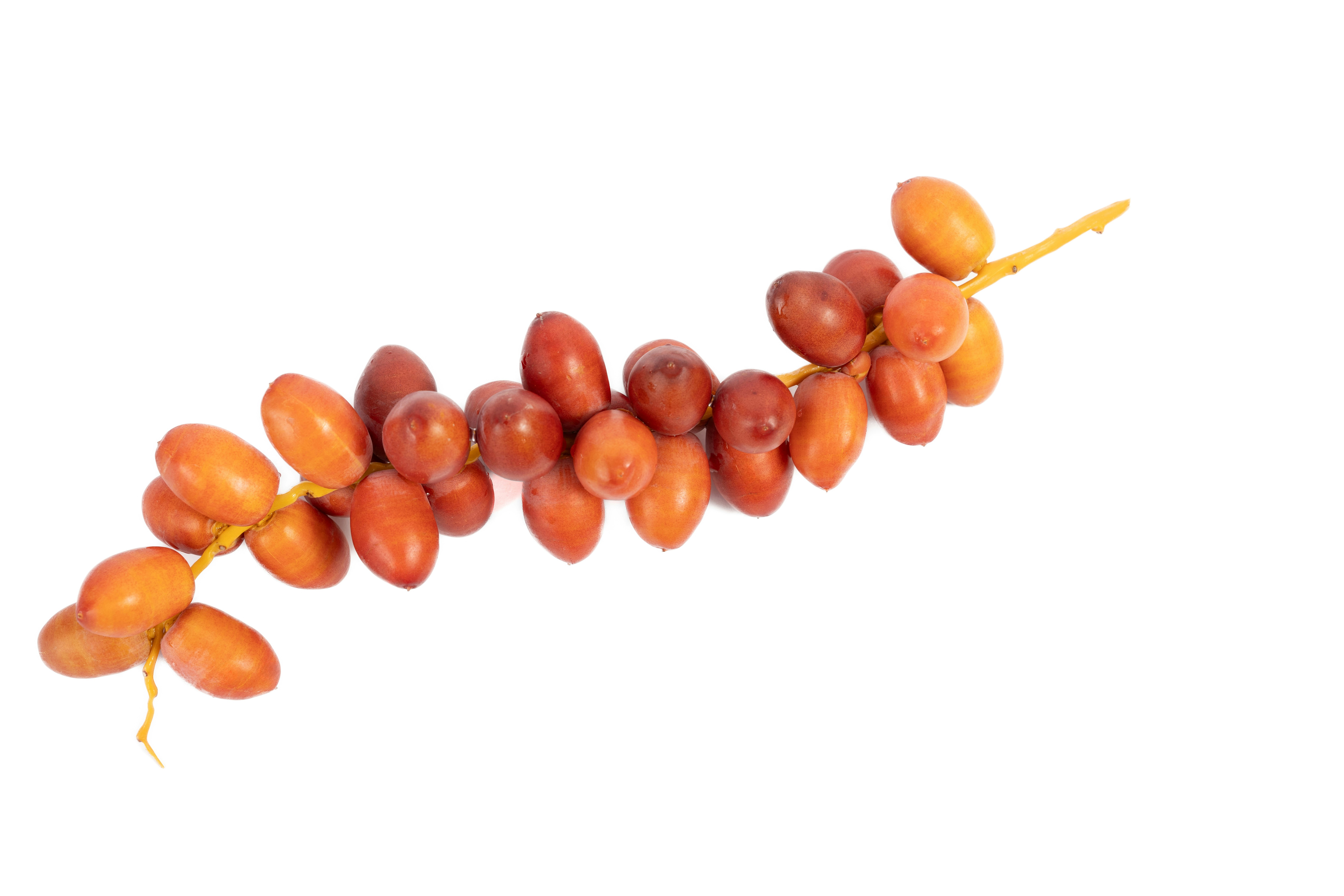 Photo by raheemblacksnows