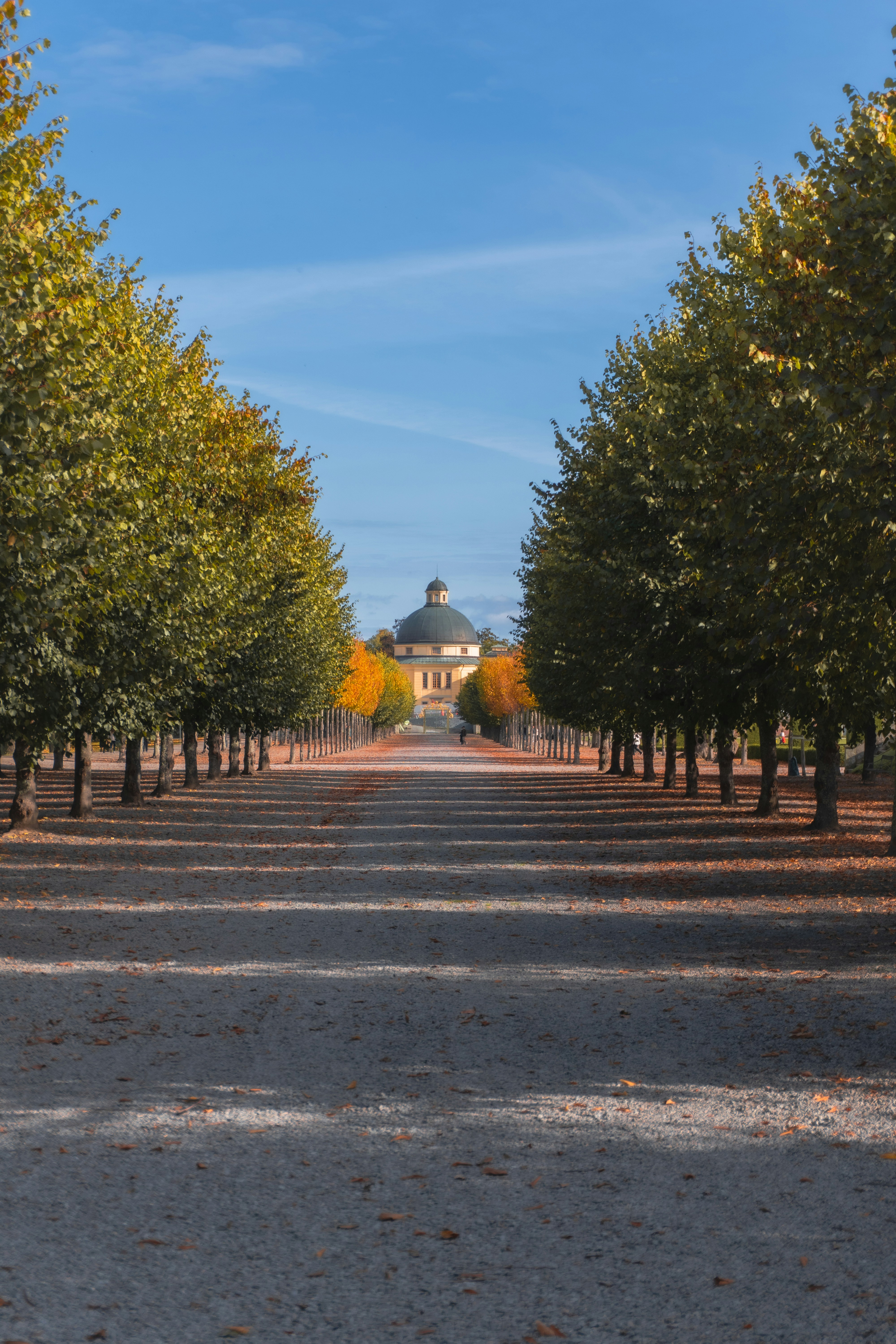 Photo by absalonflores