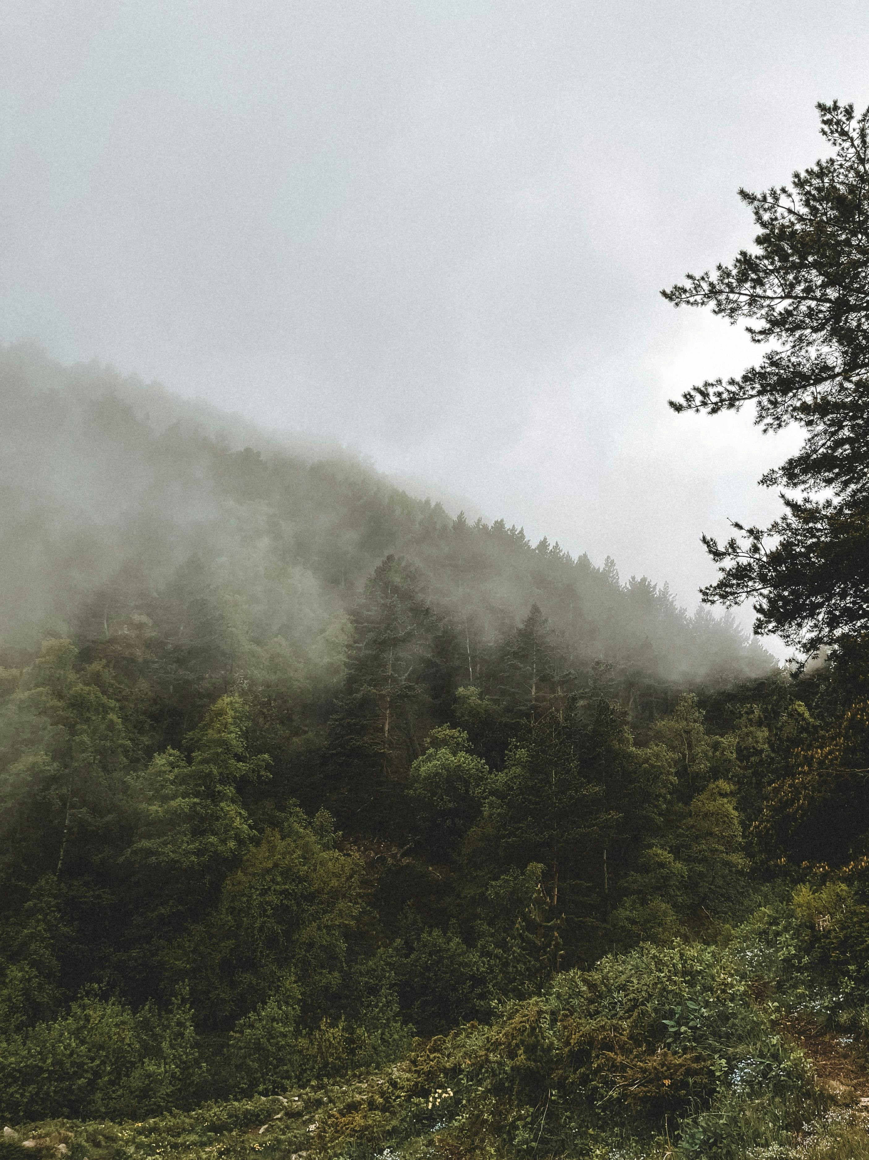 Photo by zvada_photo