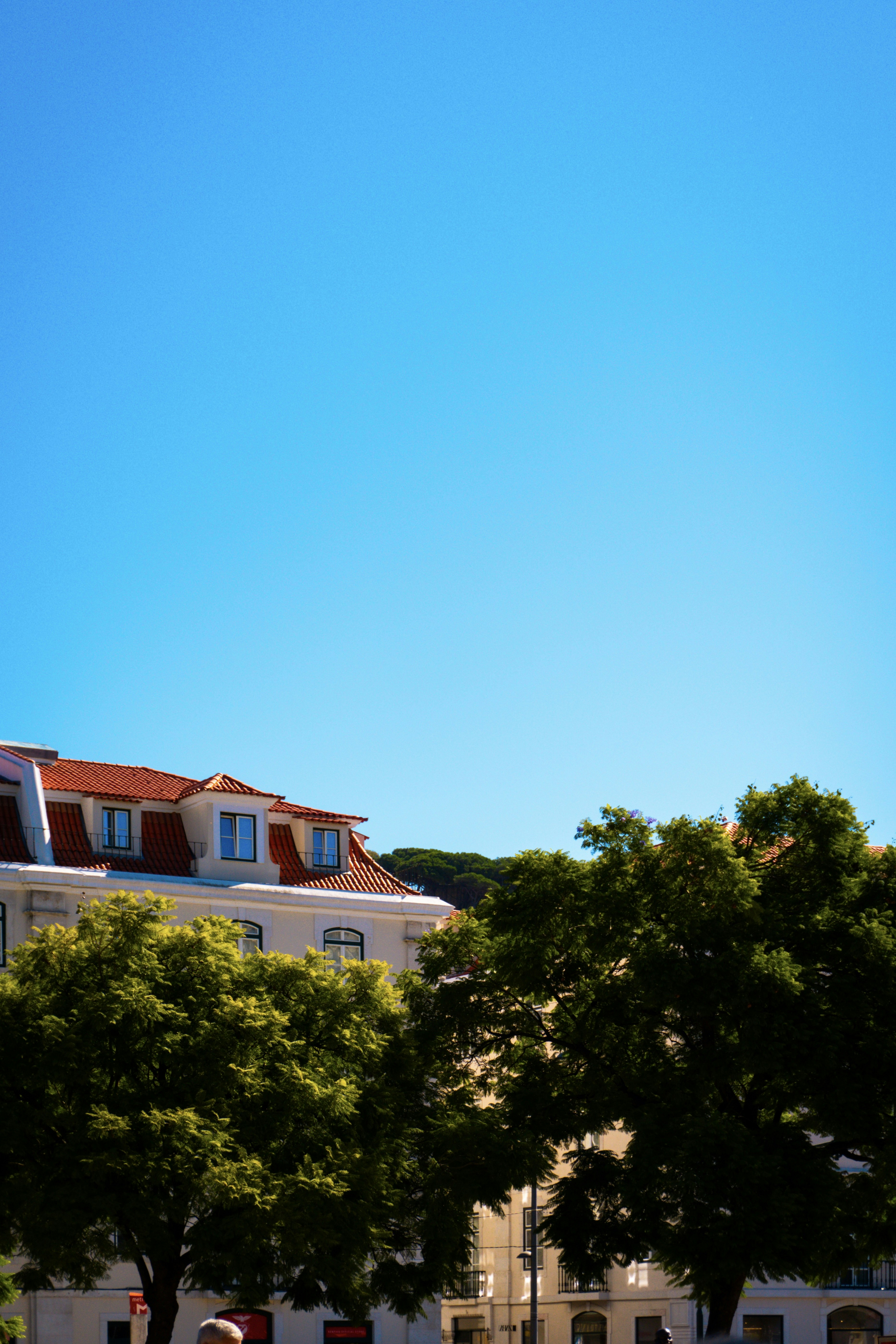 Photo by absalonflores