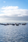 A group of boats floating on top of a large body of water