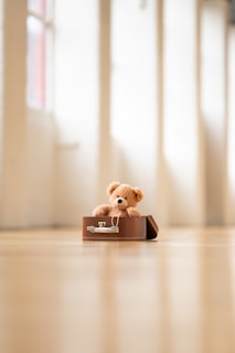 A teddy bear sitting in a suitcase on the floor