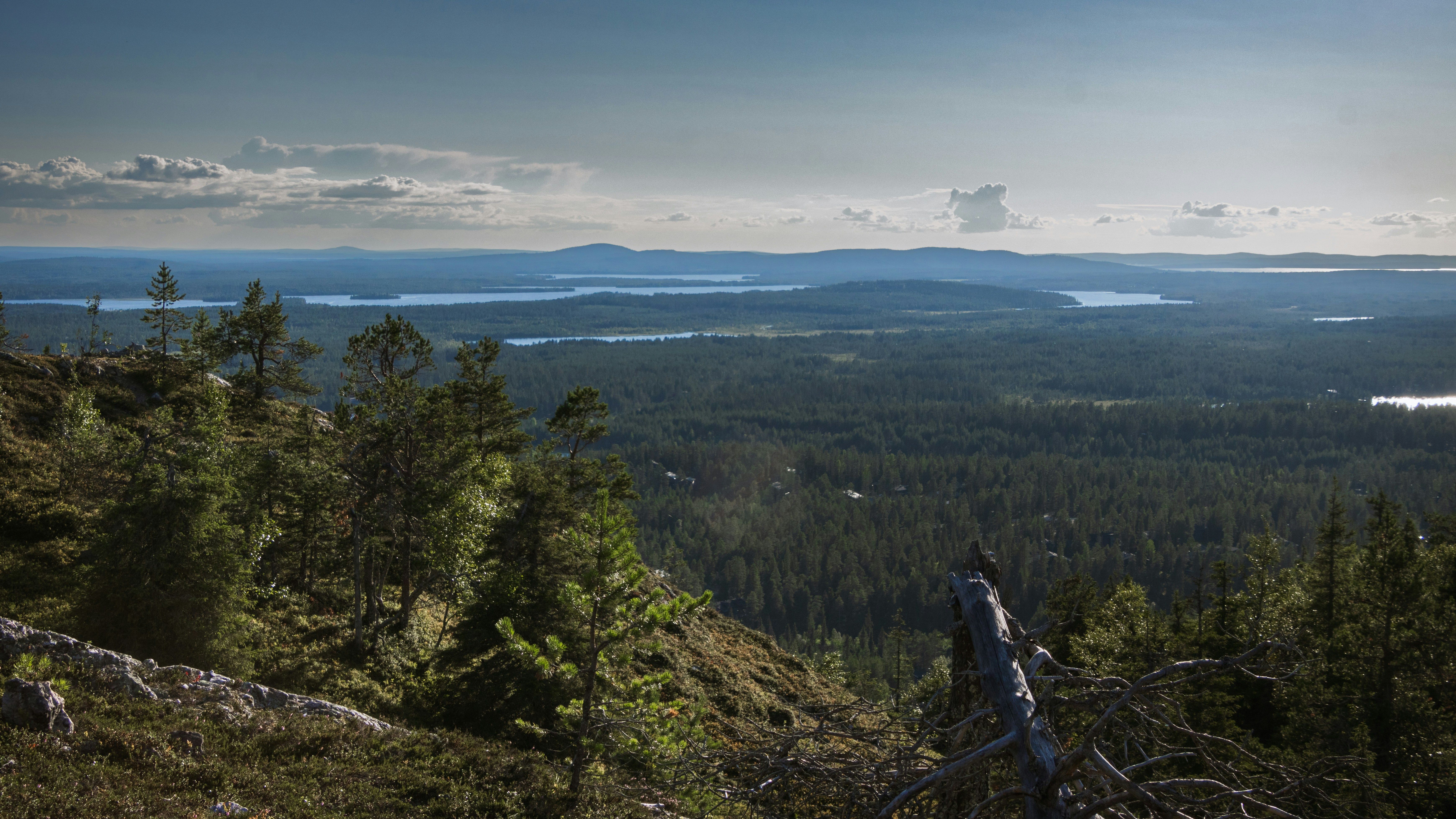 Photo by juho_aleksi_luomala