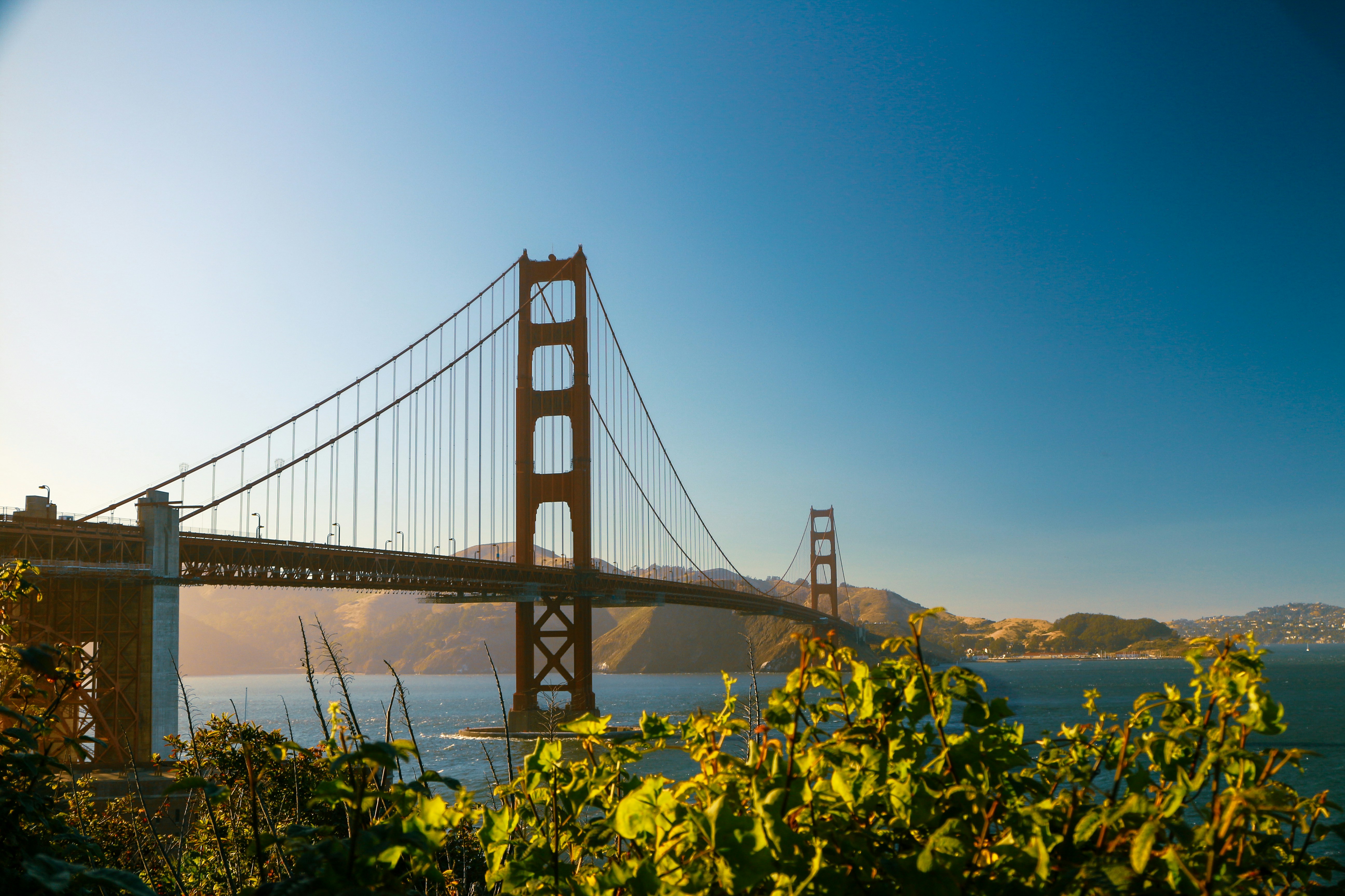 Photo by leonardoescala