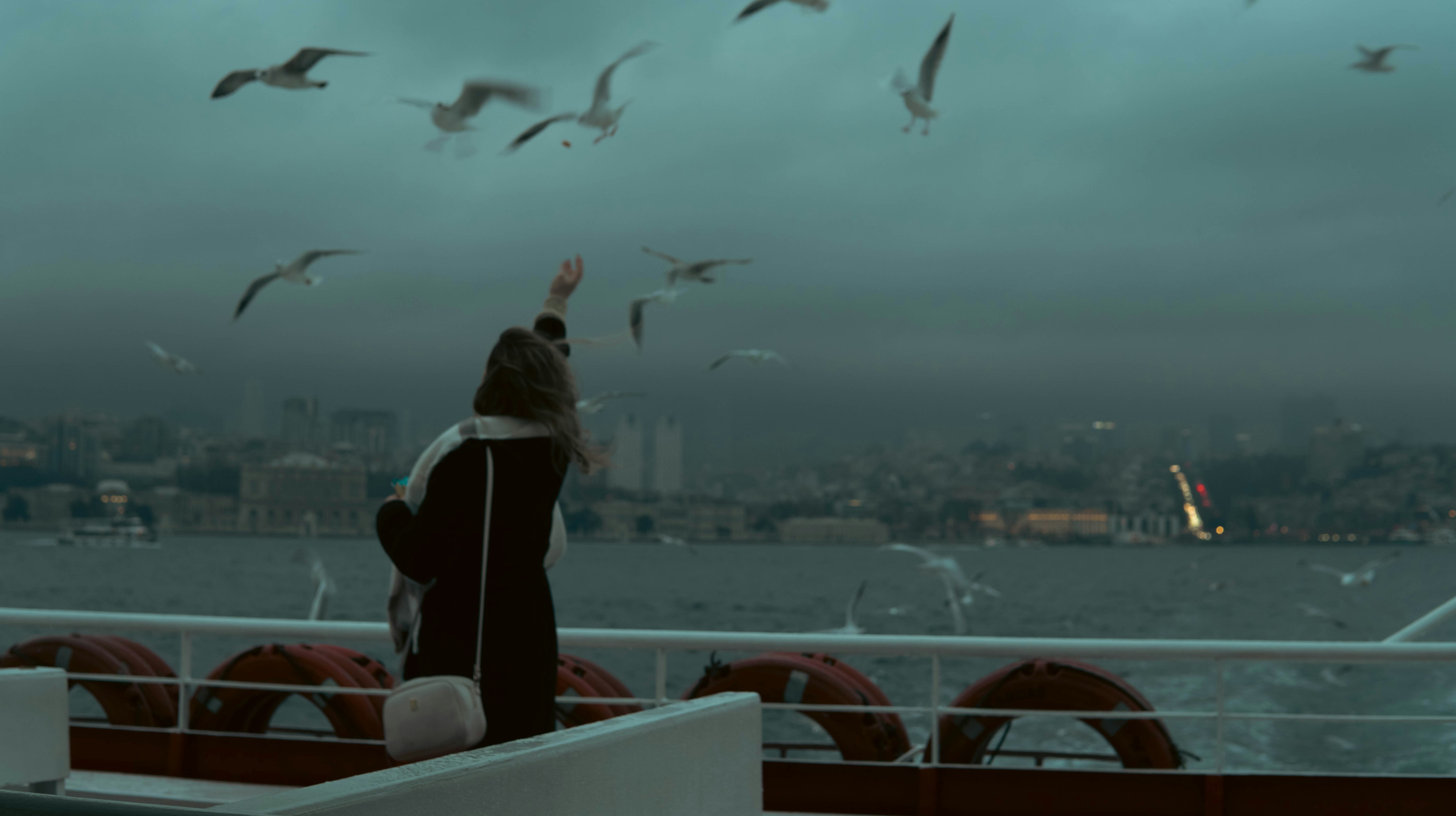 A person standing on a boat looking at seagulls