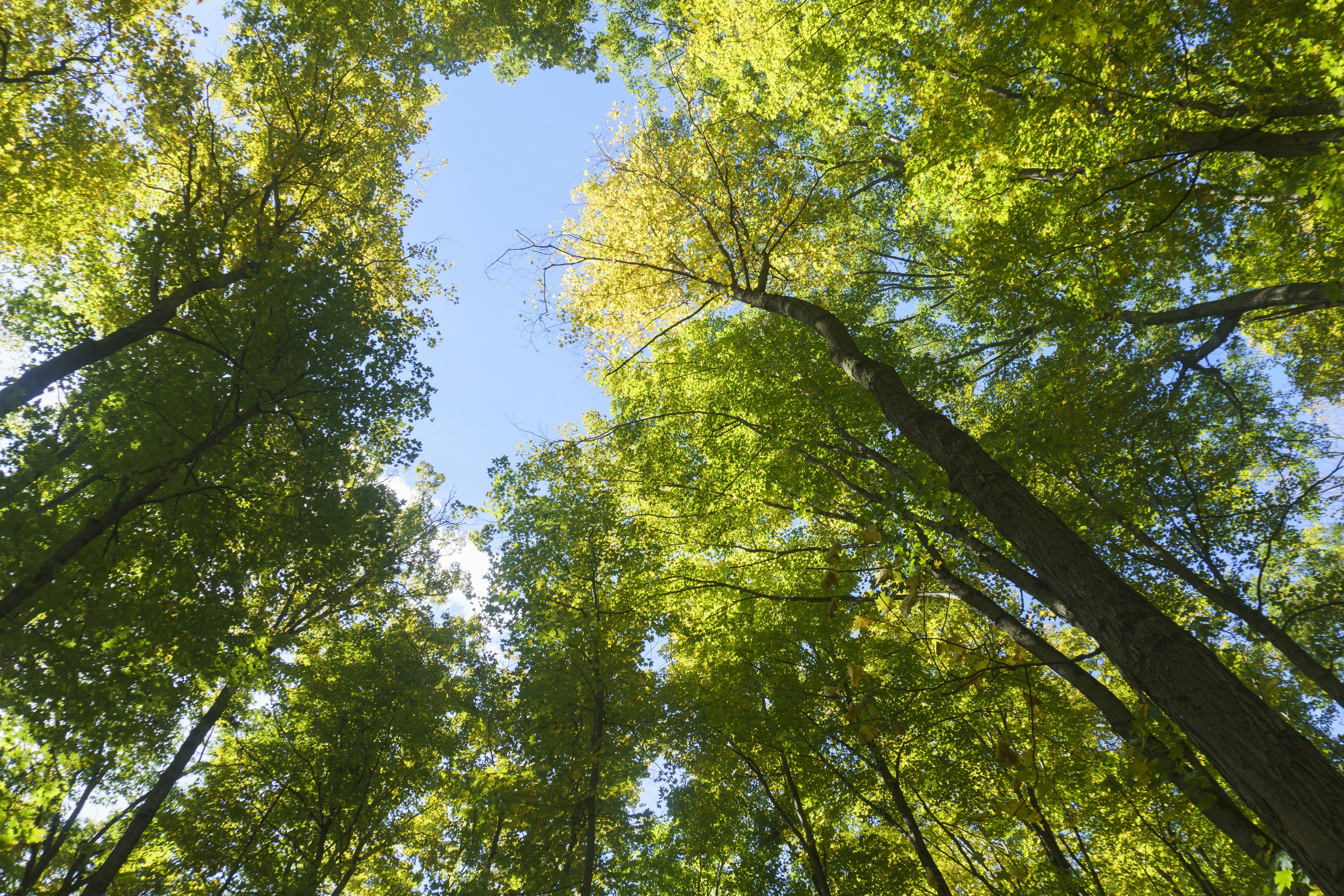 Photo by maheshkkreddy