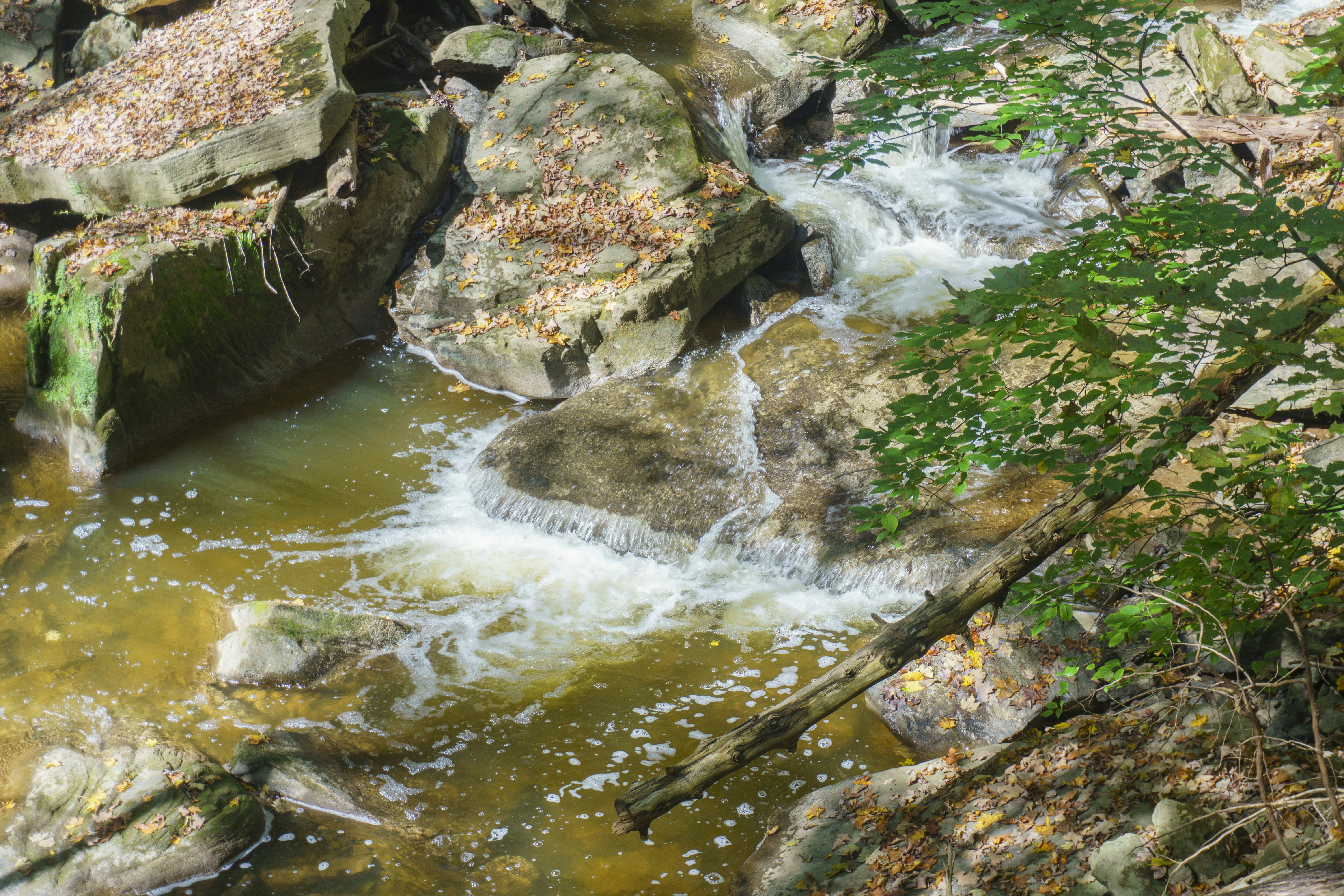 Photo by maheshkkreddy