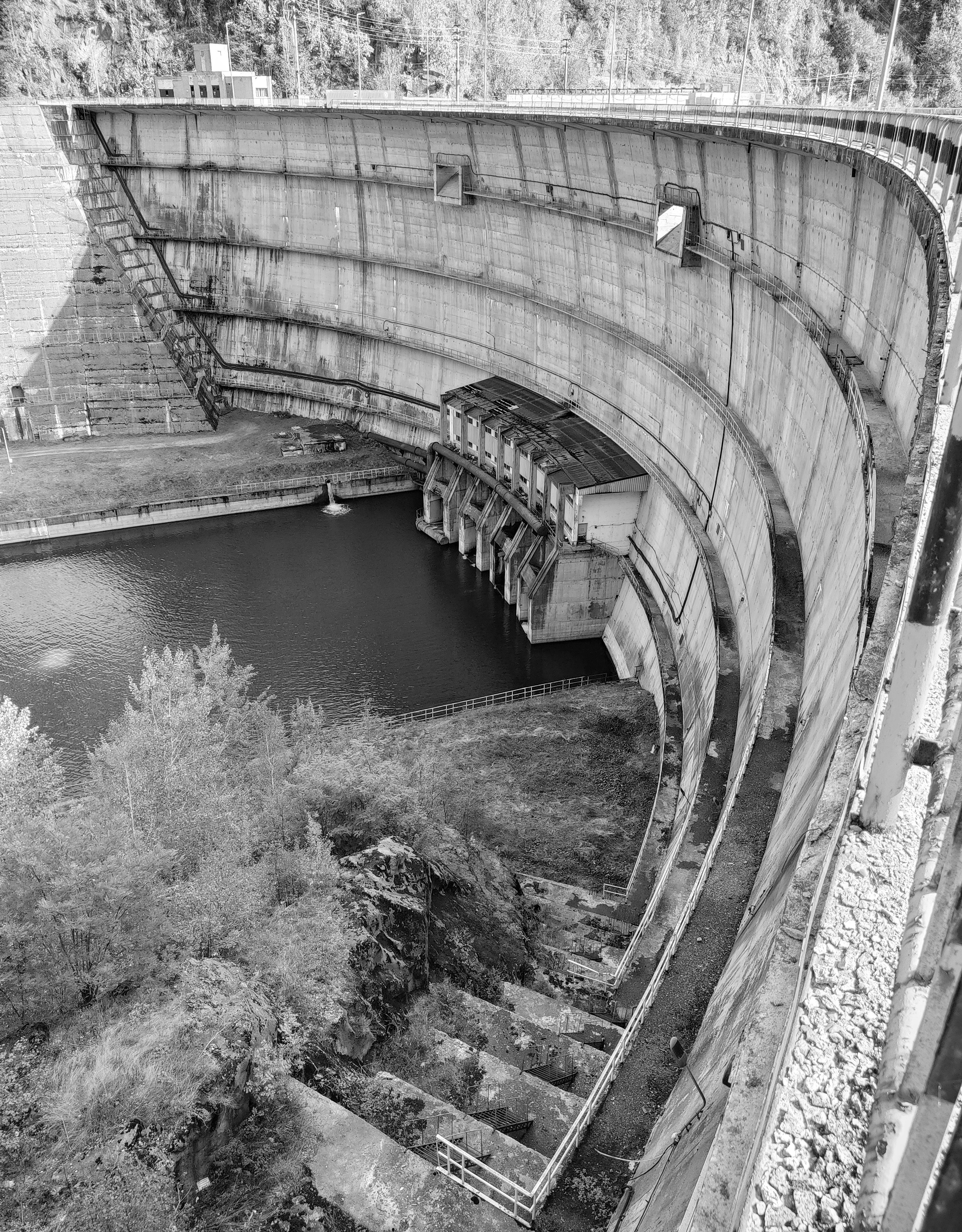 Photo by razvan_trif