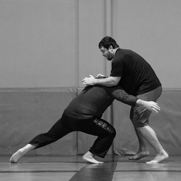 Learn BJJ at your own pace