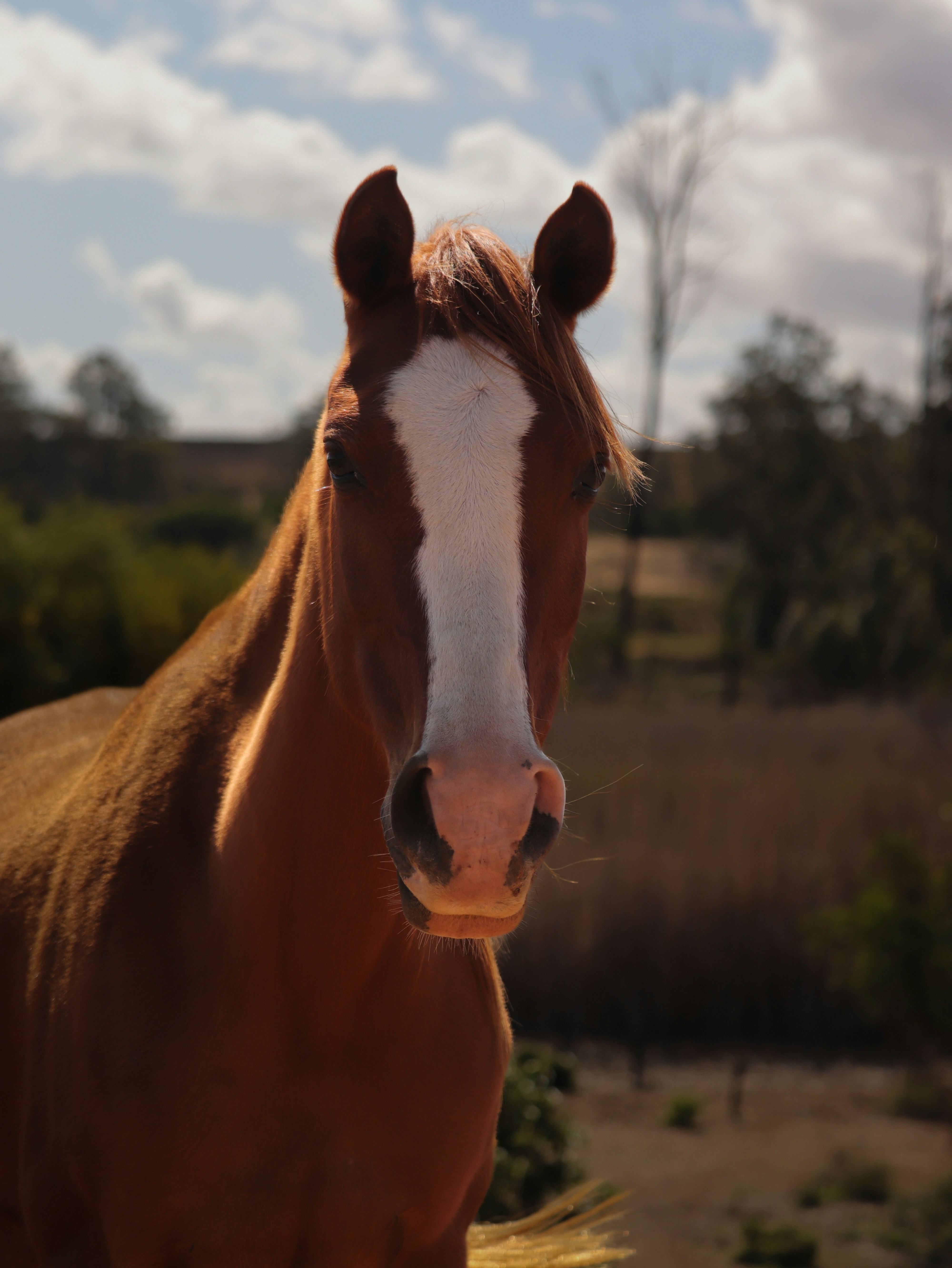 Photo by lisakvictor