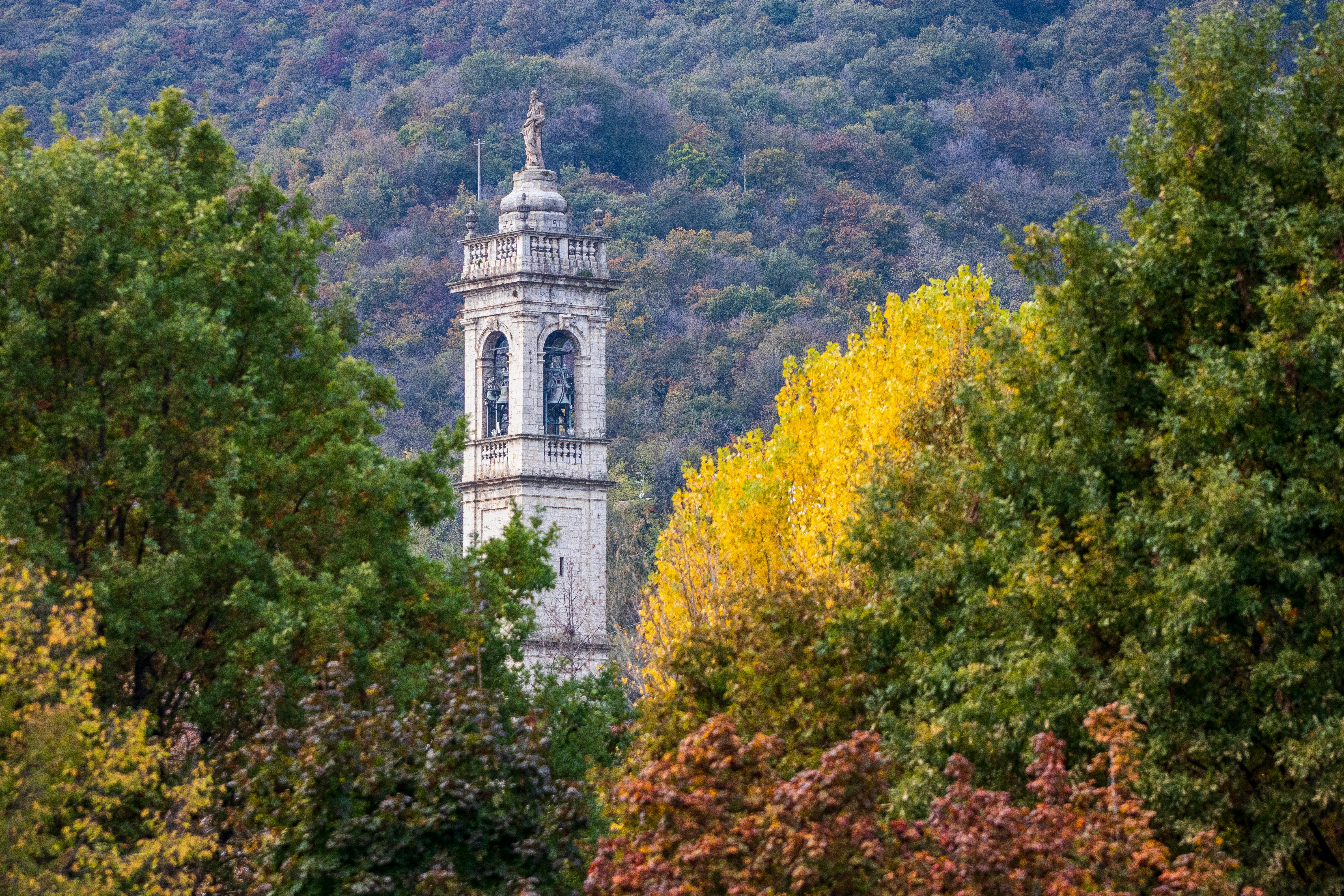 A clock tower in the middle of a forest