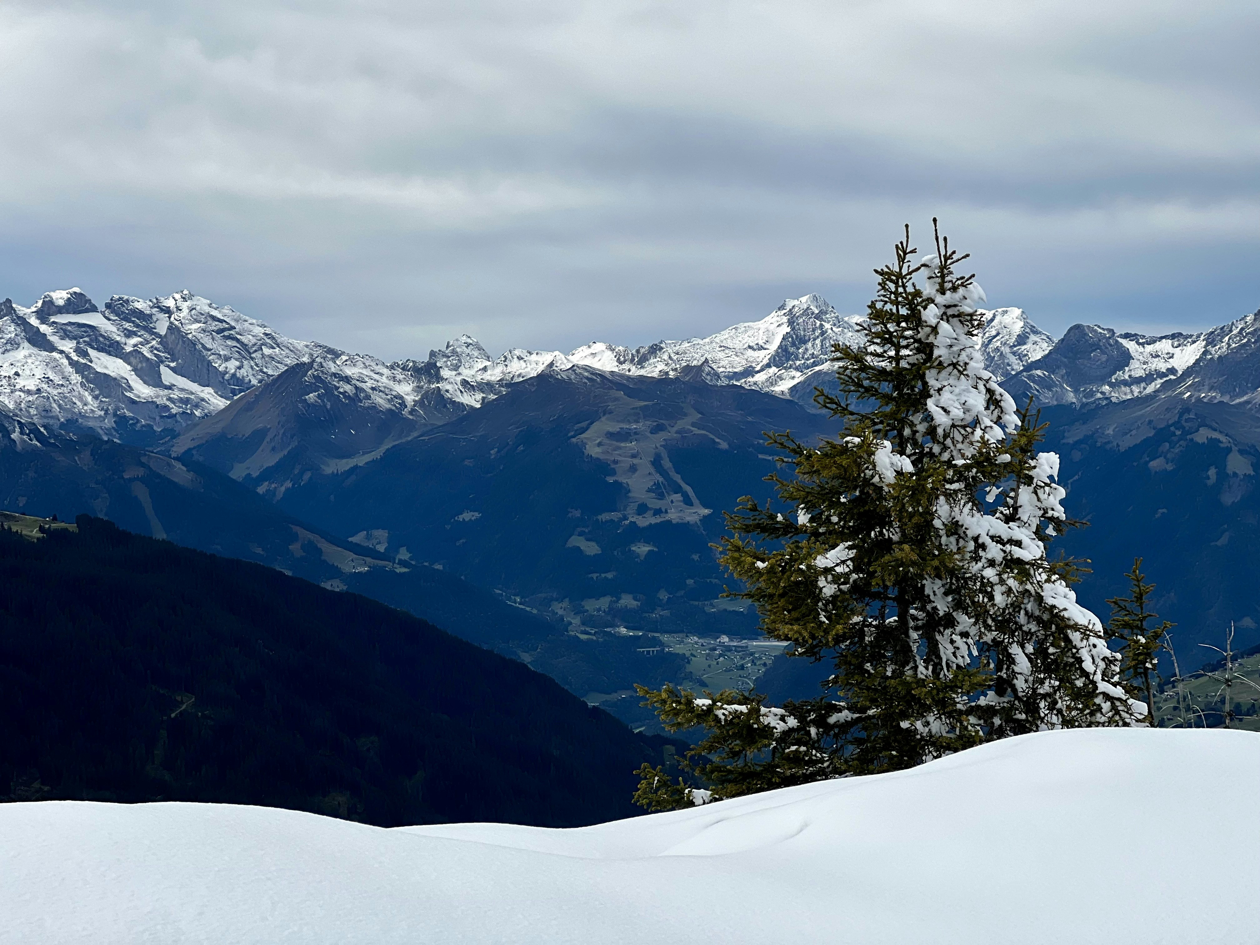 Photo by ioanavalentina