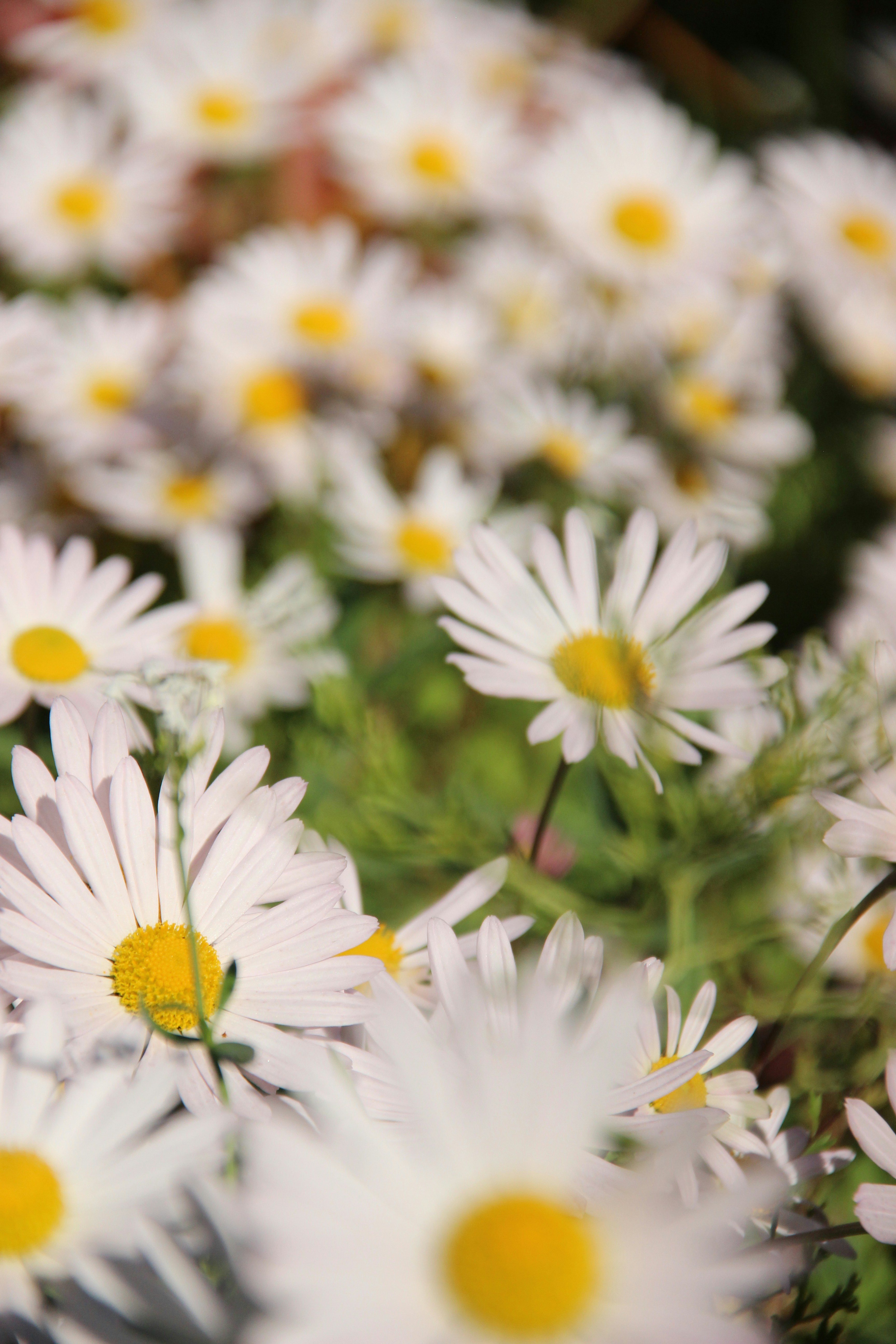 Photo by daniyarorazov