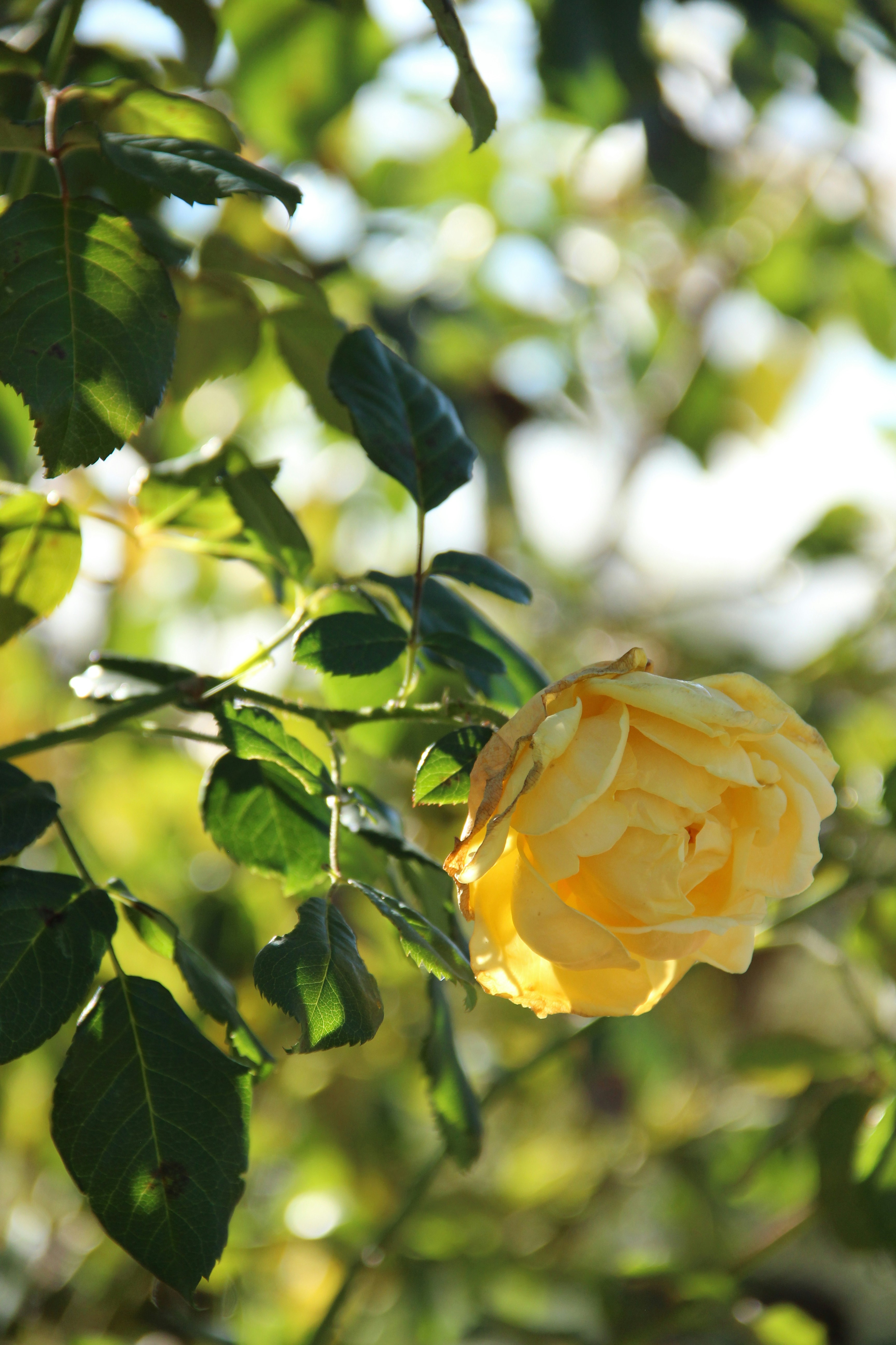 Photo by daniyarorazov