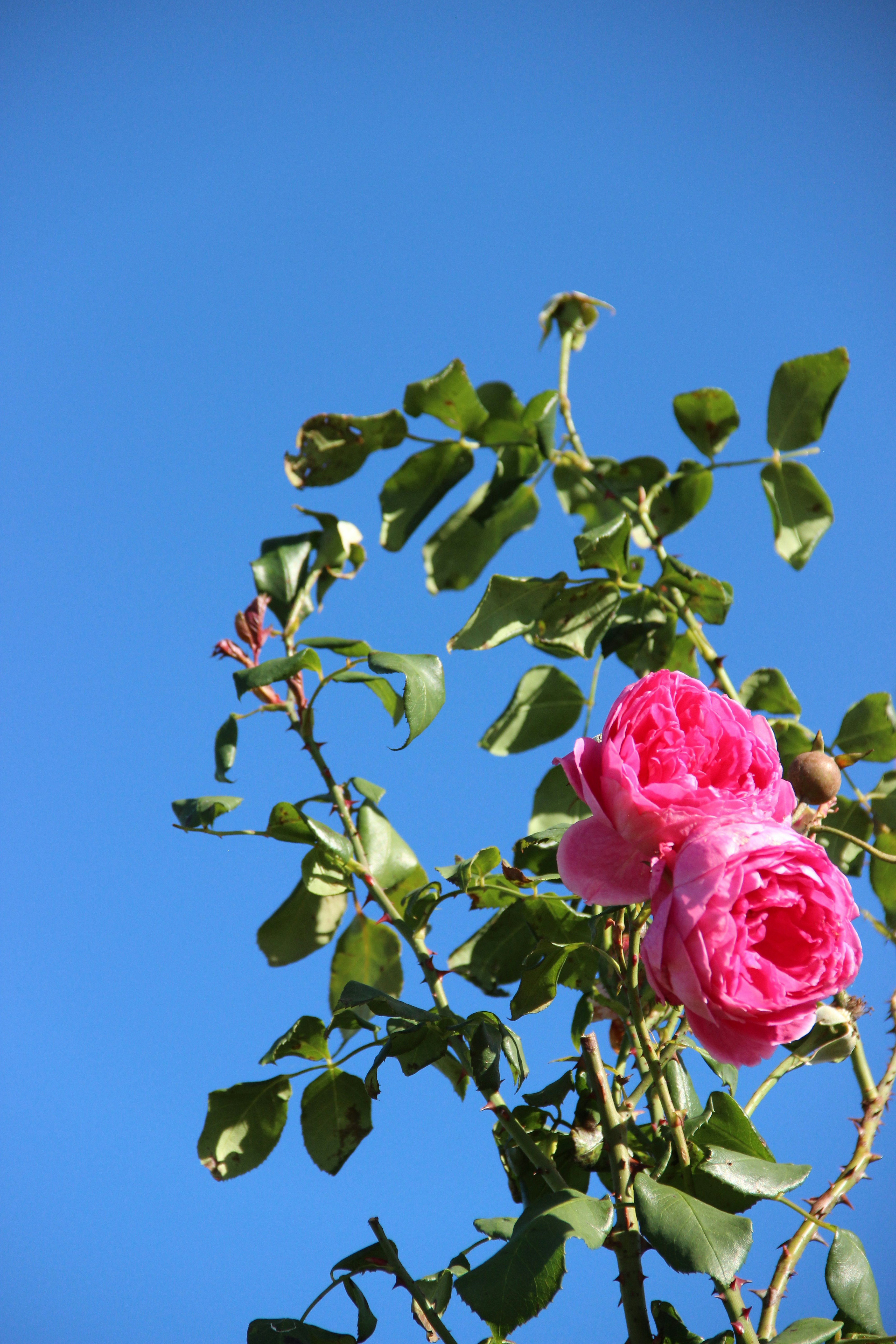 Photo by daniyarorazov