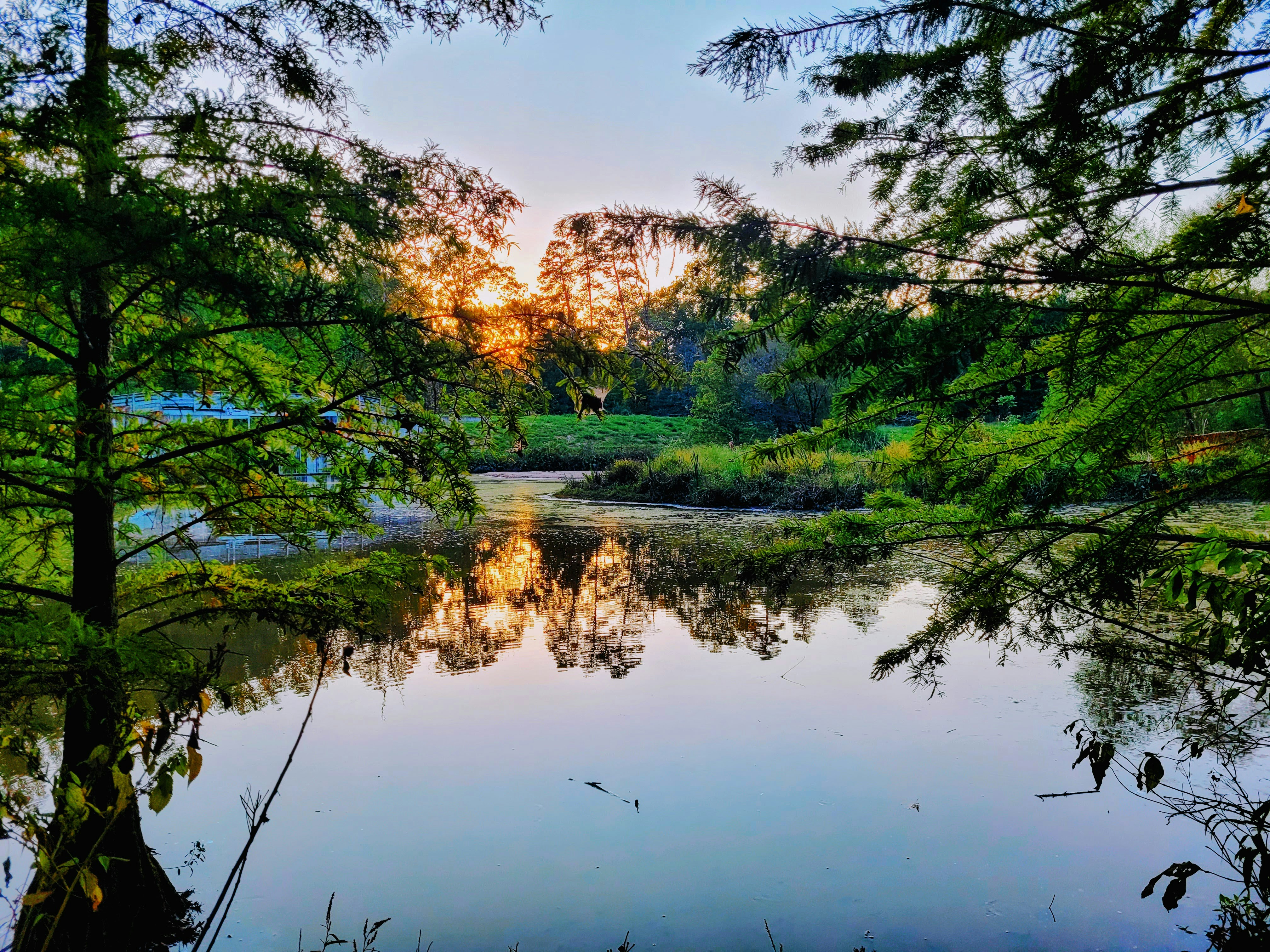 A lake surrounded by trees with a sunset in the background