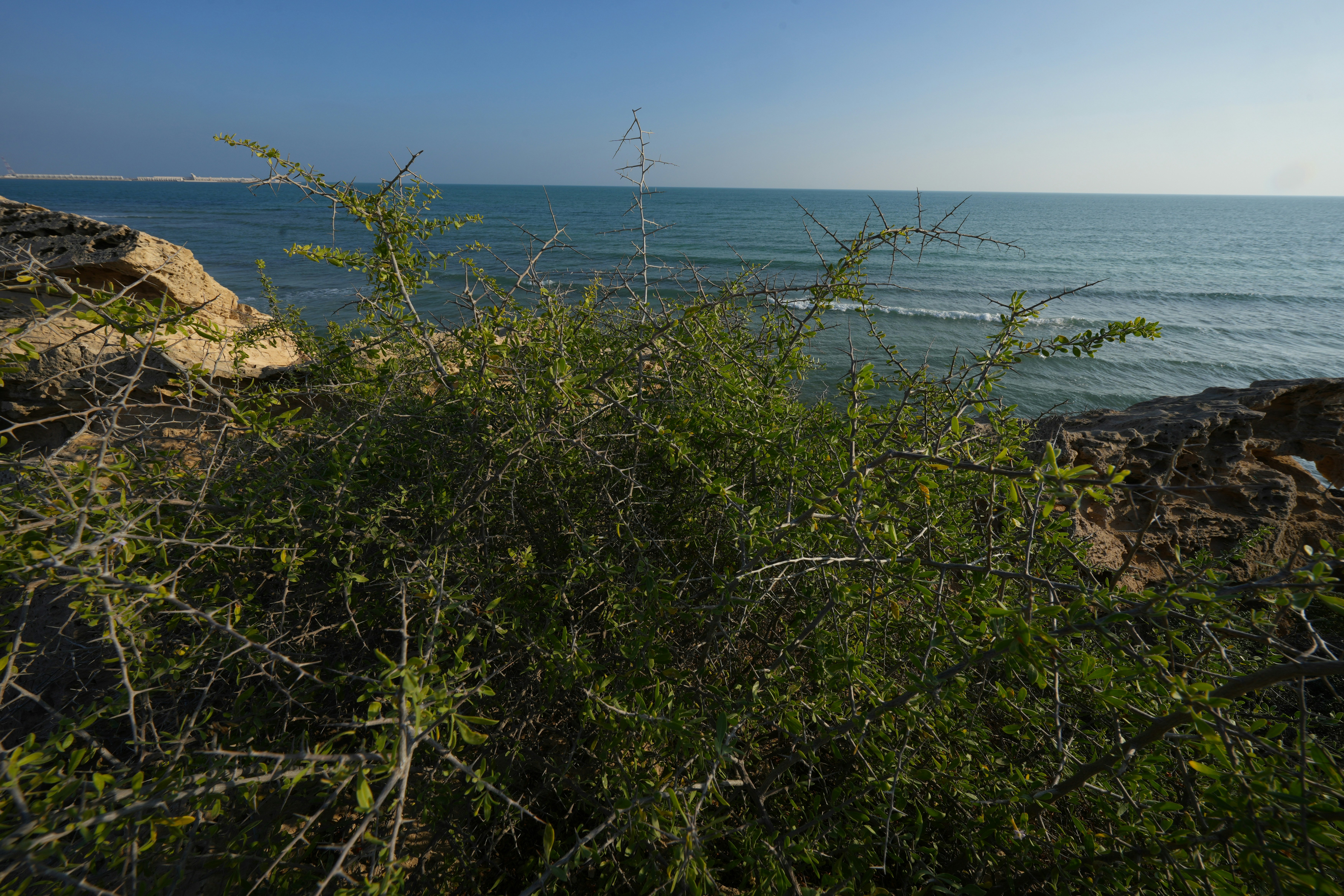 Photo by raheemblacksnows