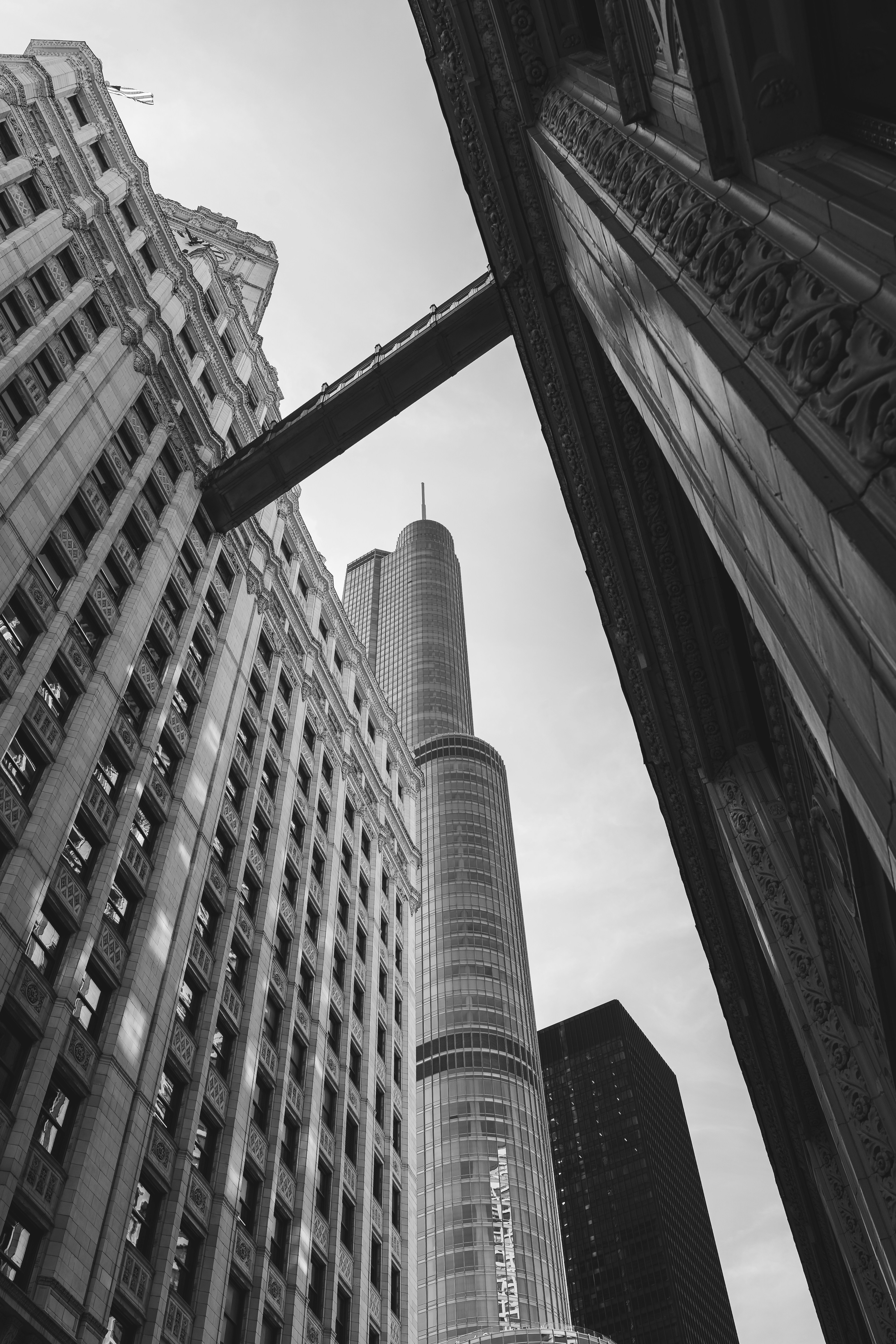 Photo by willianjusten