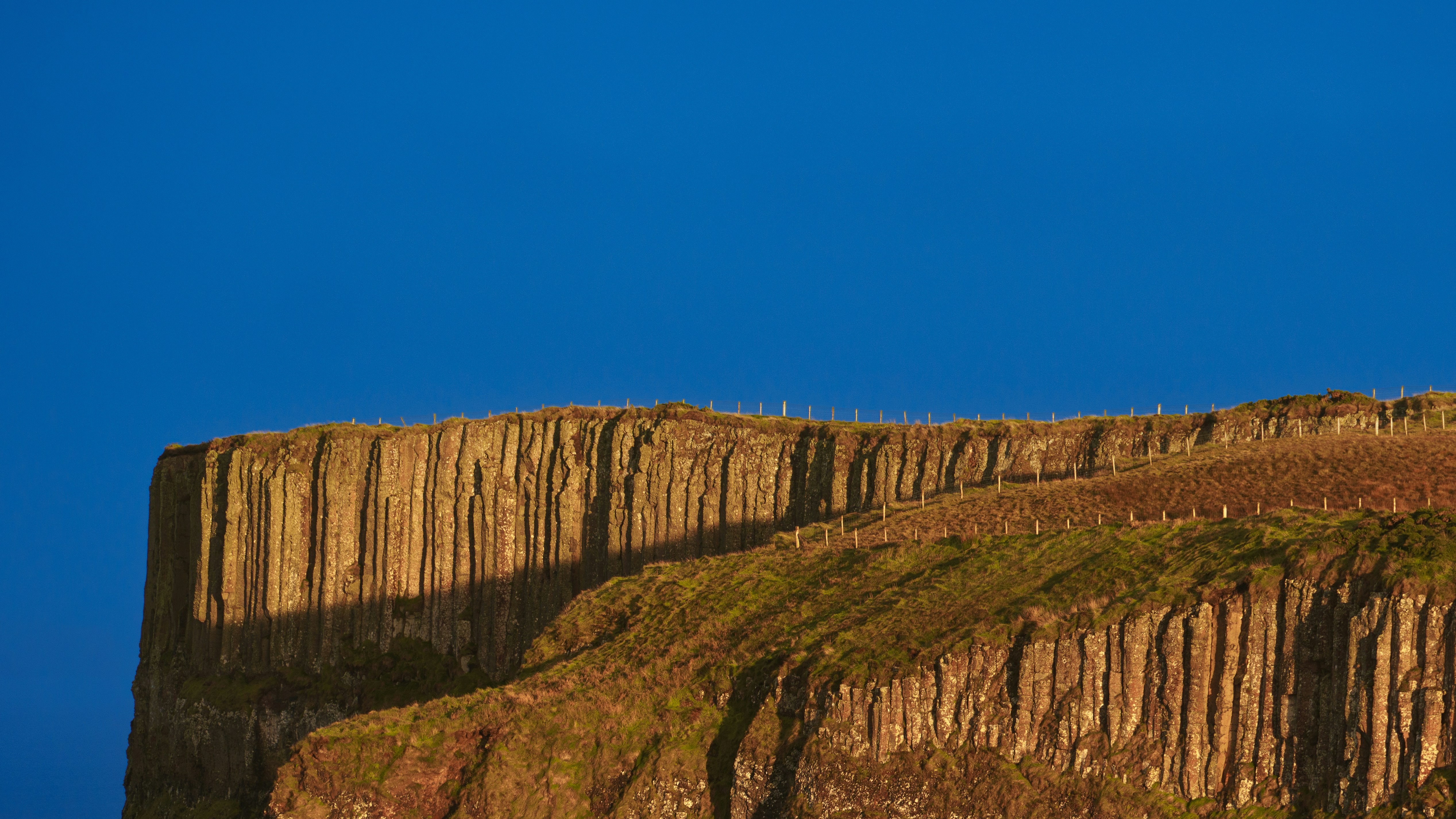A bird flying over a cliff on a clear day