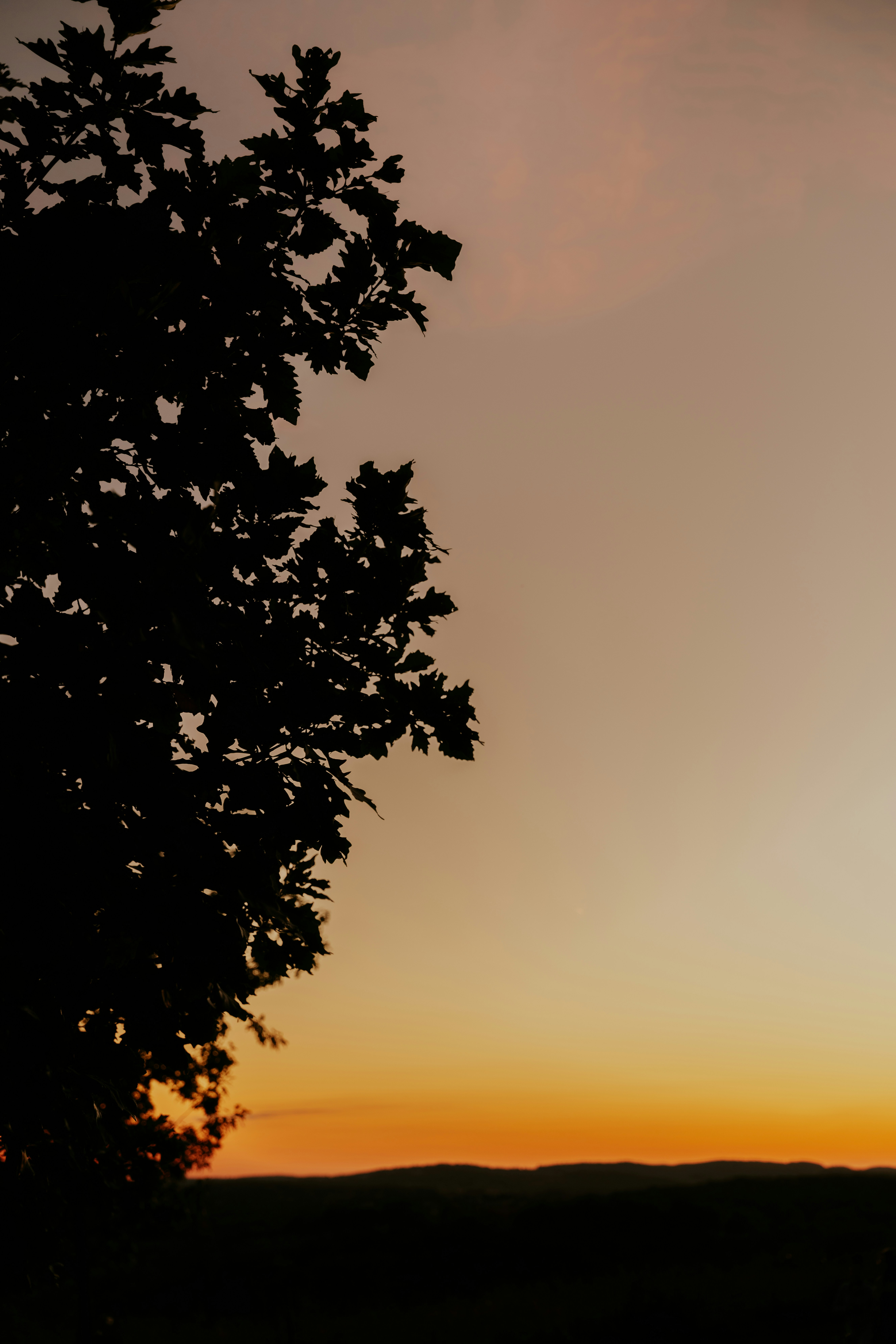 Photo by nellie_adamyan