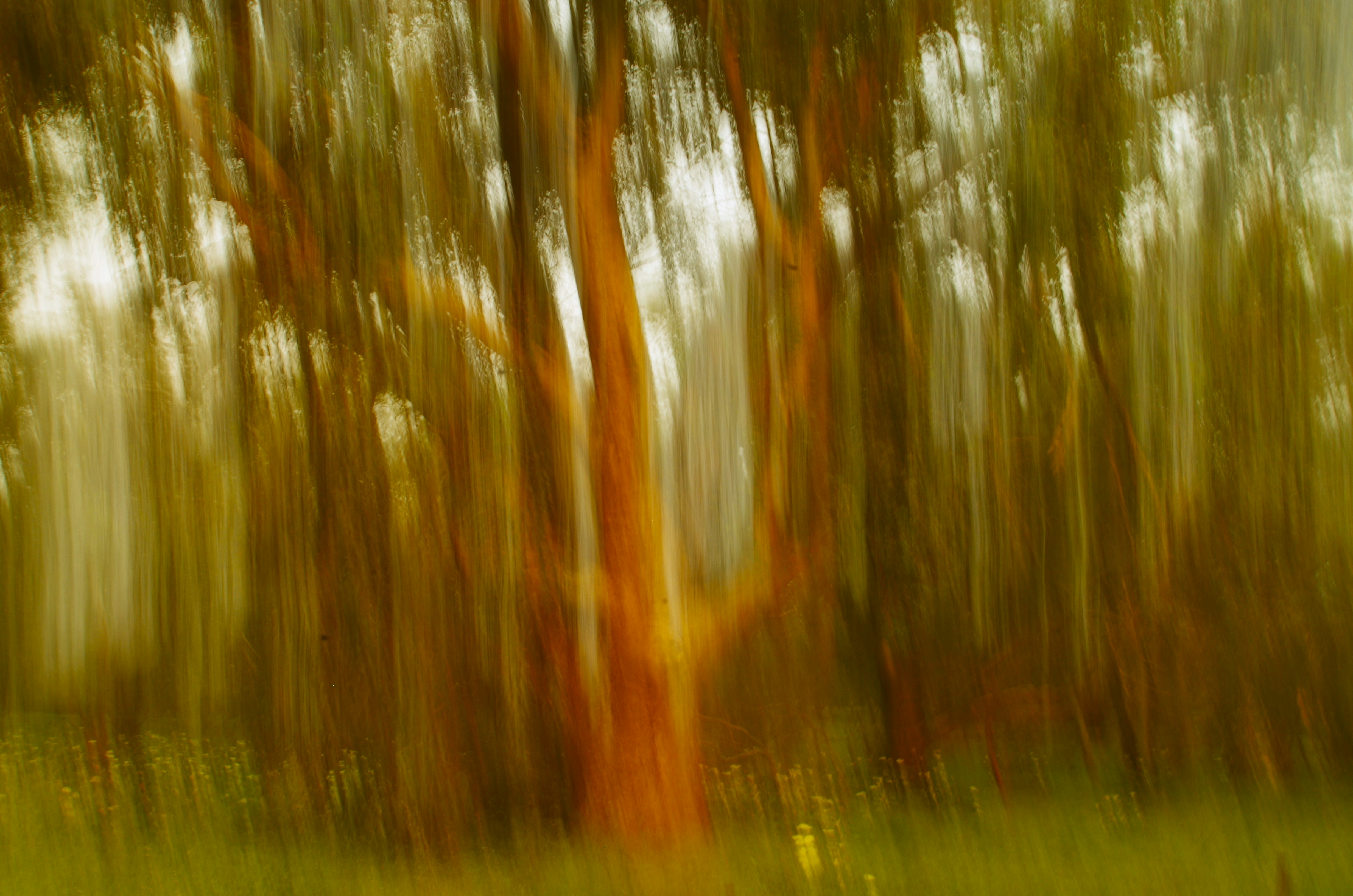 Photo by photoken123