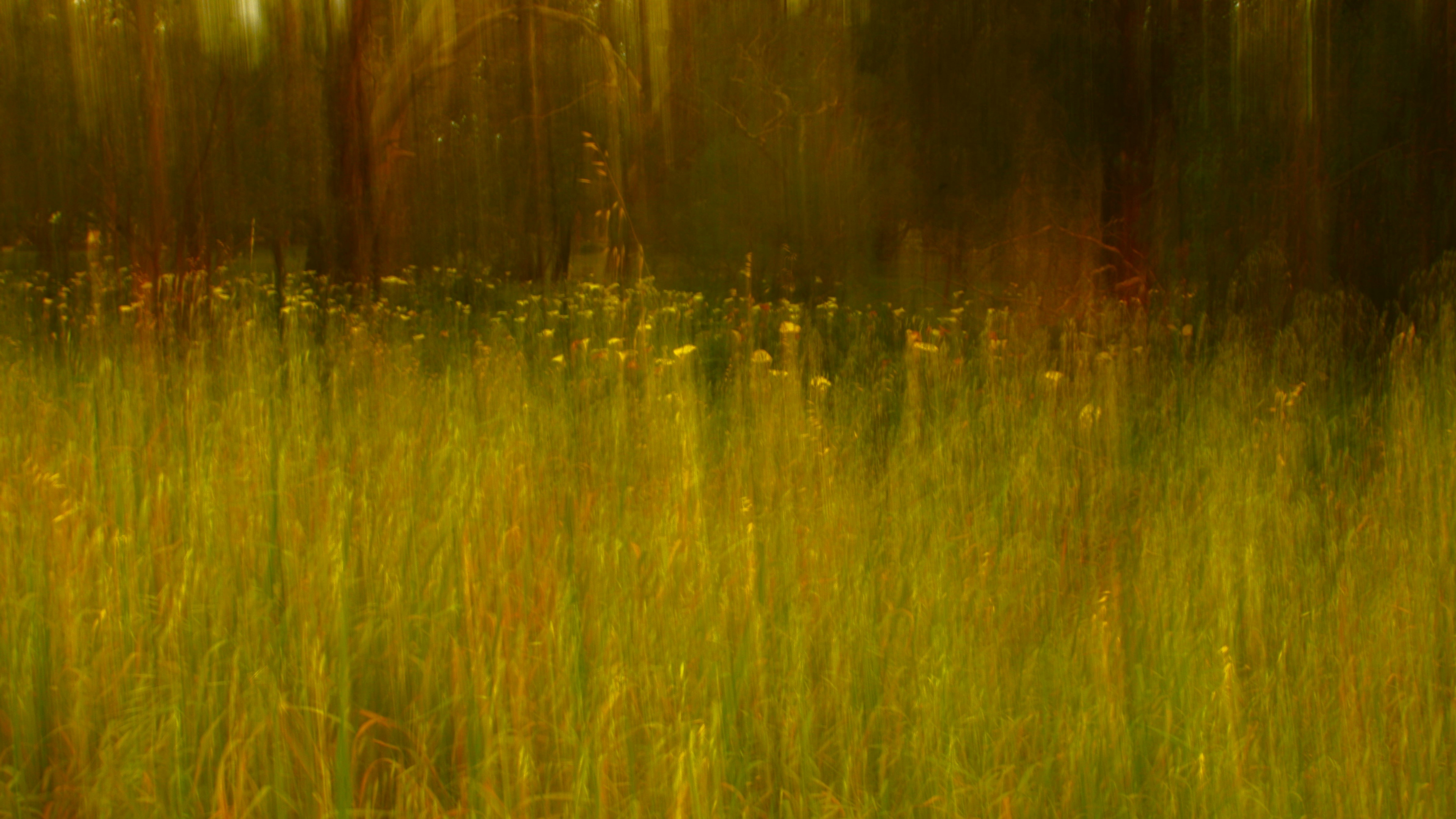 Photo by photoken123