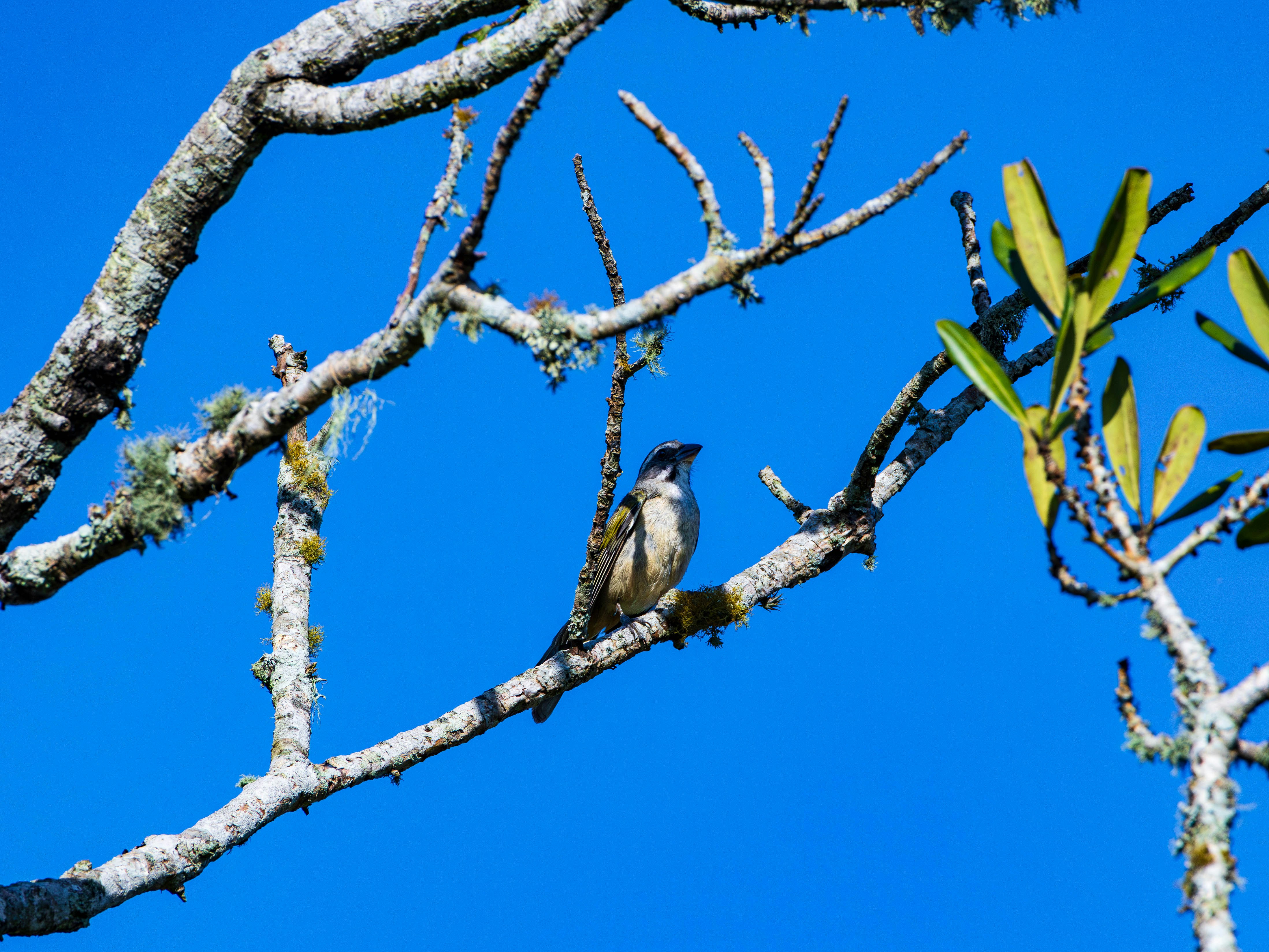 Photo by matheuskprot