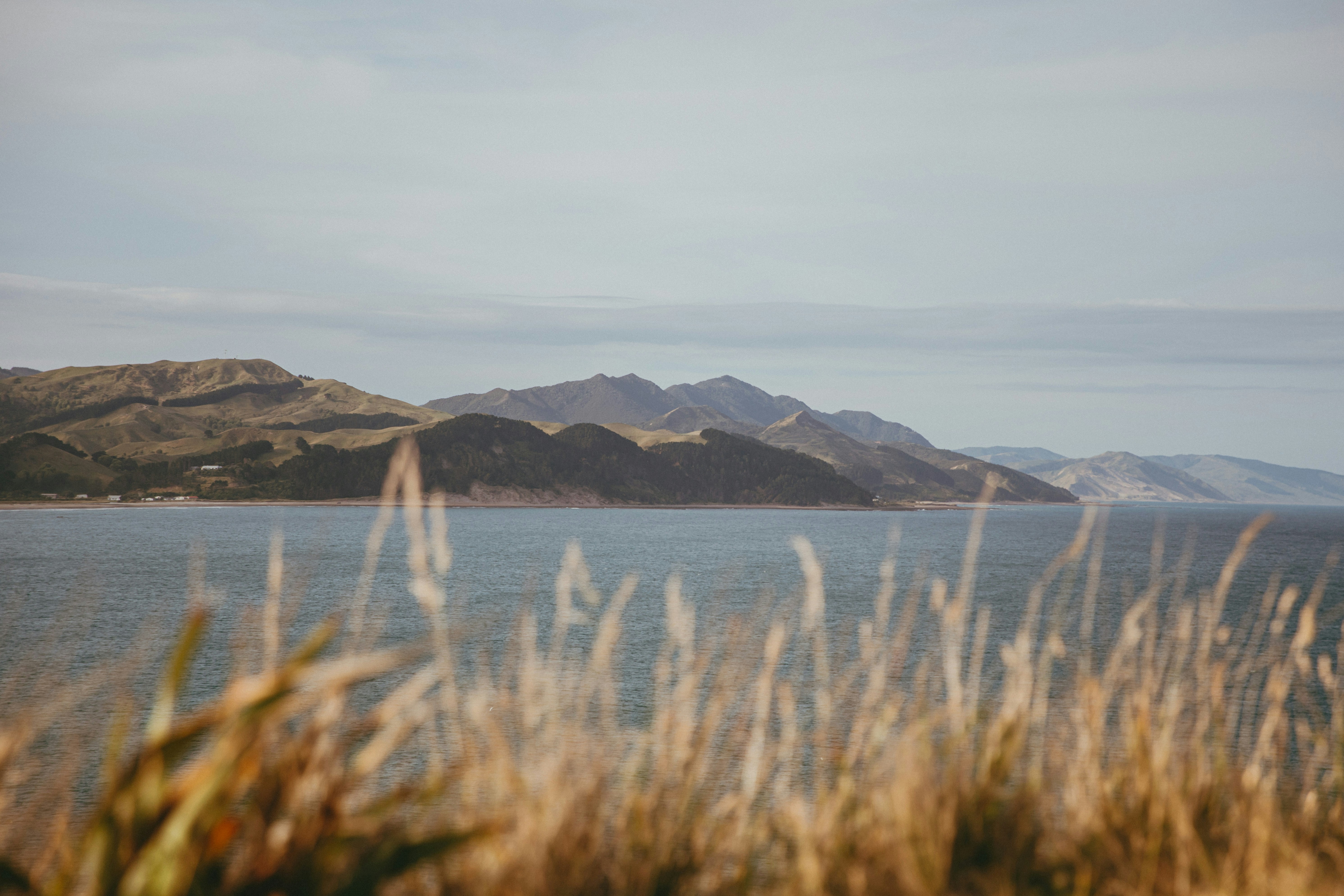 Photo by createinme_nz